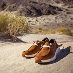 Ariat / Buckeye Waterproof Shoe