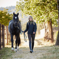 Ariat / Heritage Contour II Waterproof Insulated Tall Riding Boot