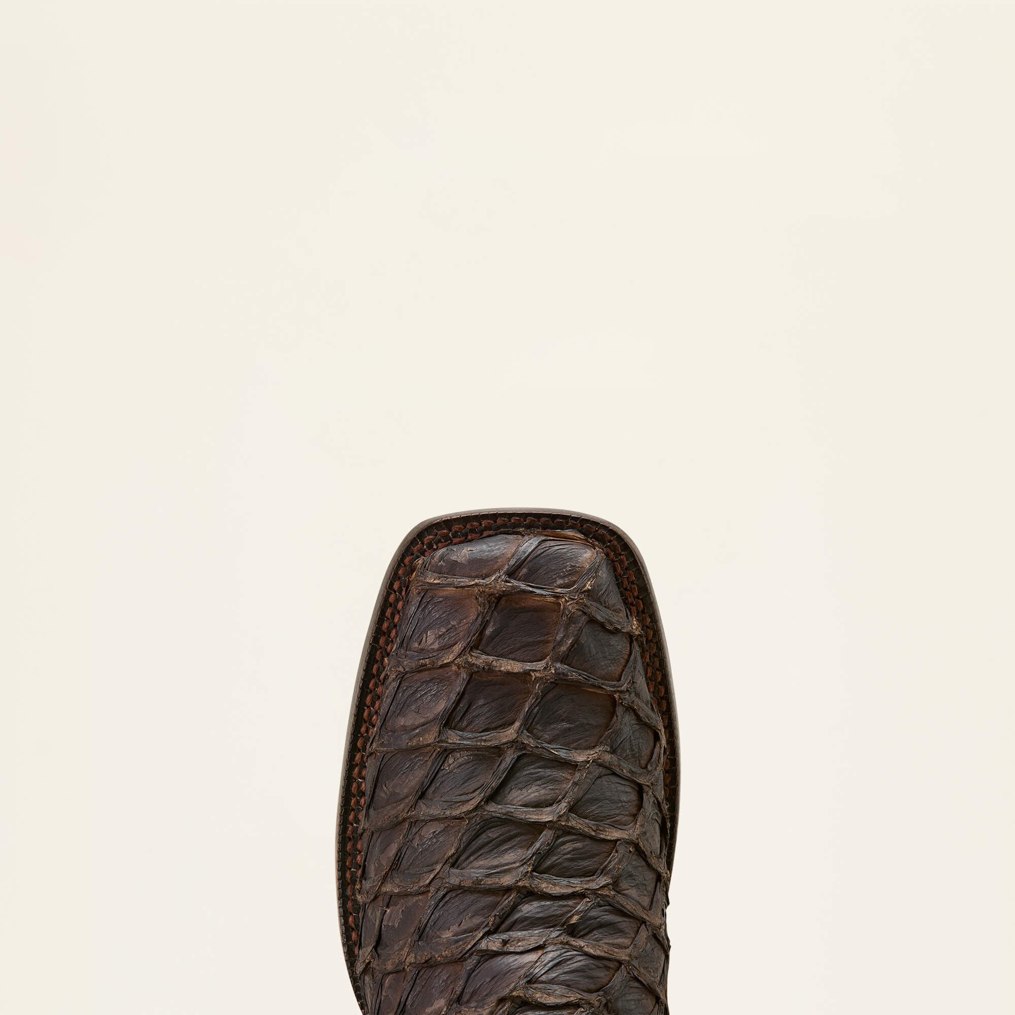 Ariat / Ashwood Wide Square Toe Cowboy Boot