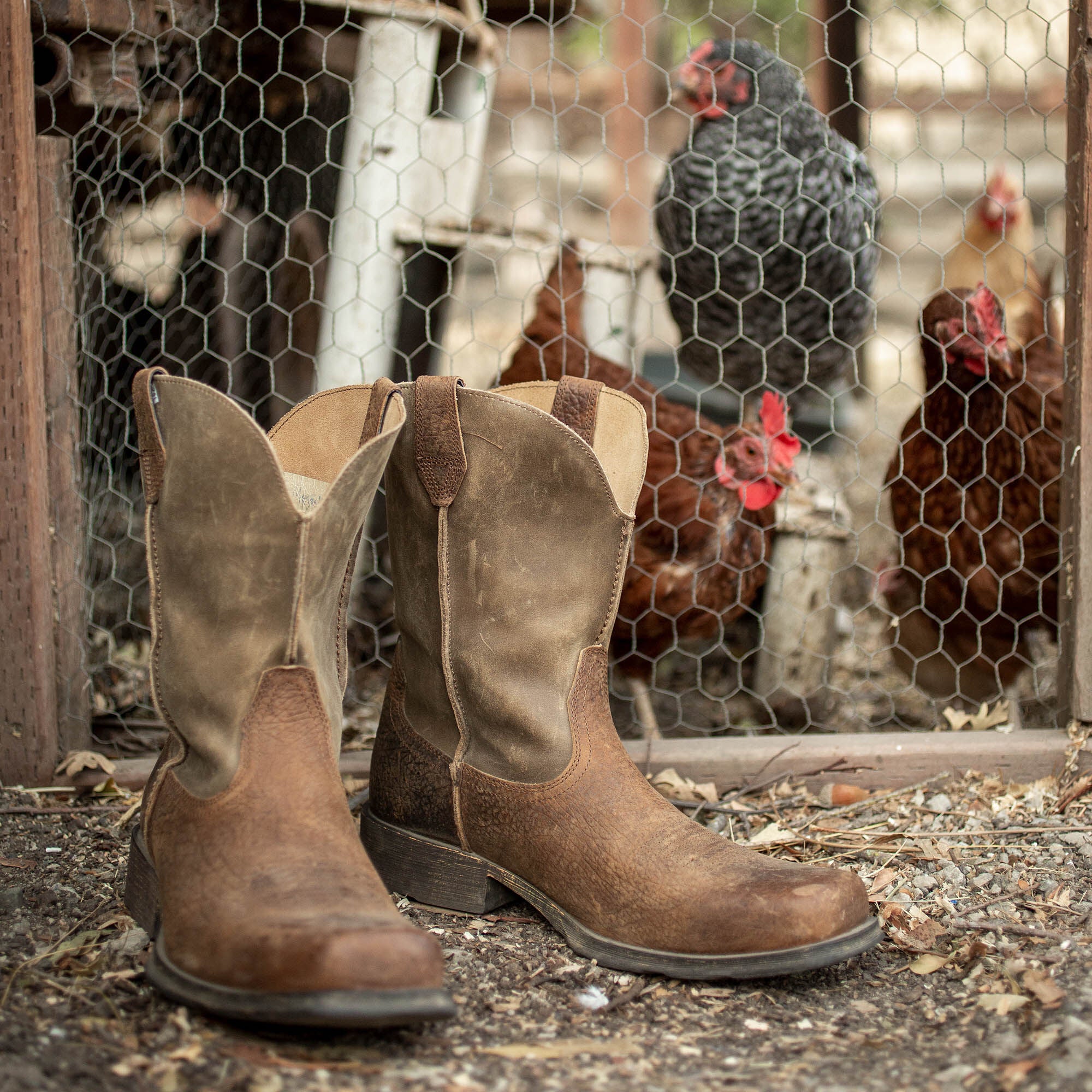 Ariat / Rambler Western Boot
