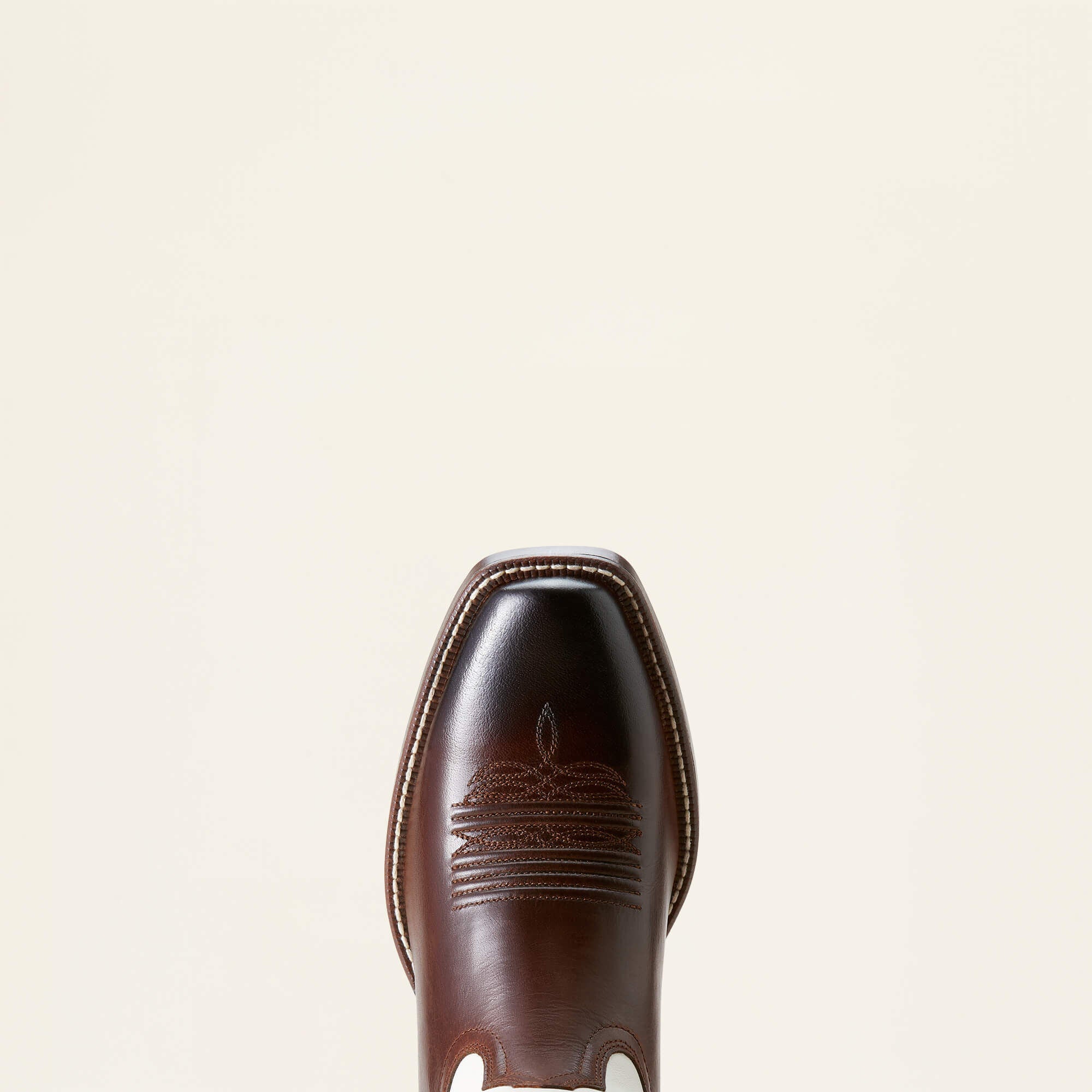 Ariat / Renegade Cowboy Boot