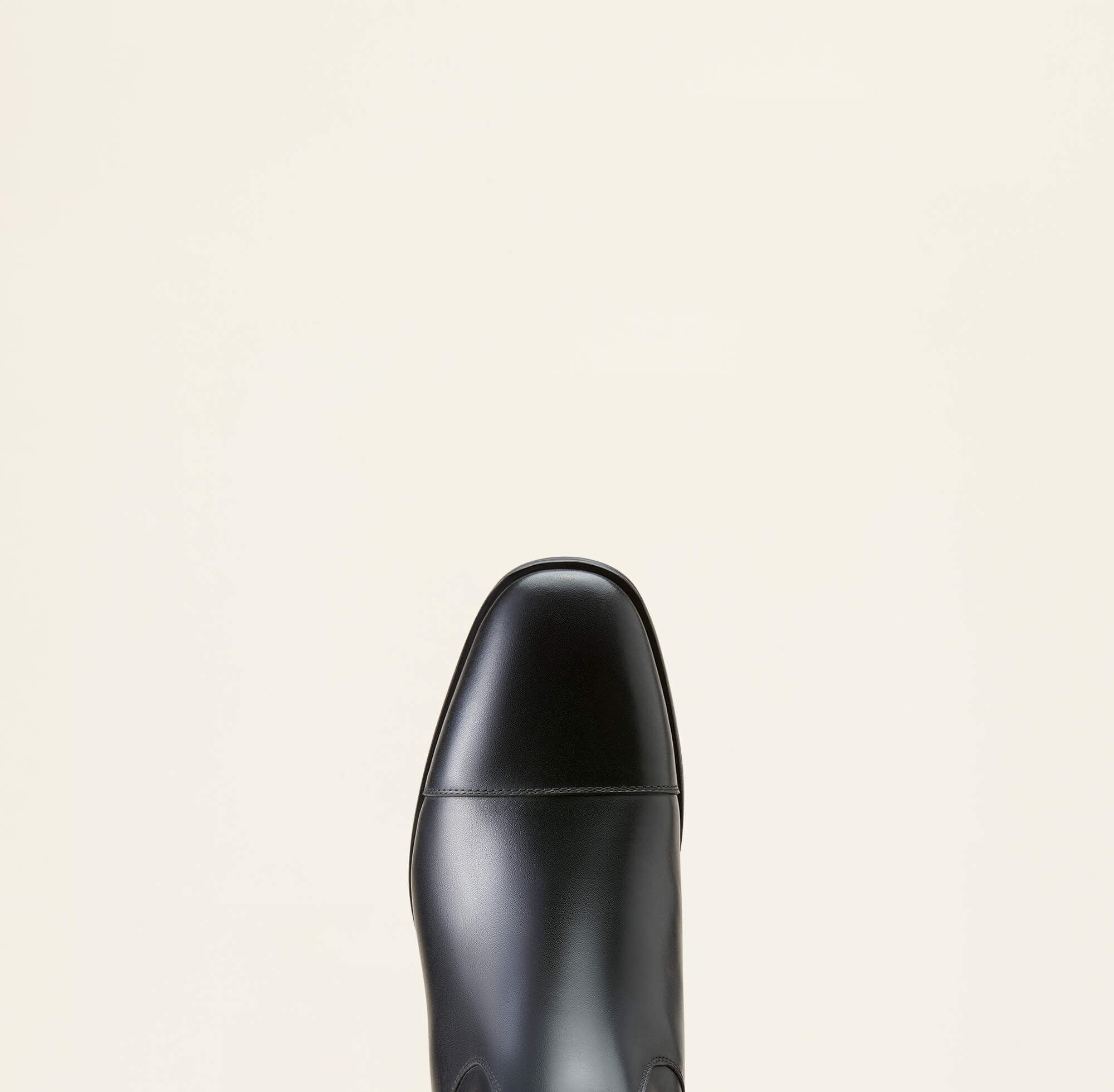 Ariat / Ravello Dress Tall Riding Boot
