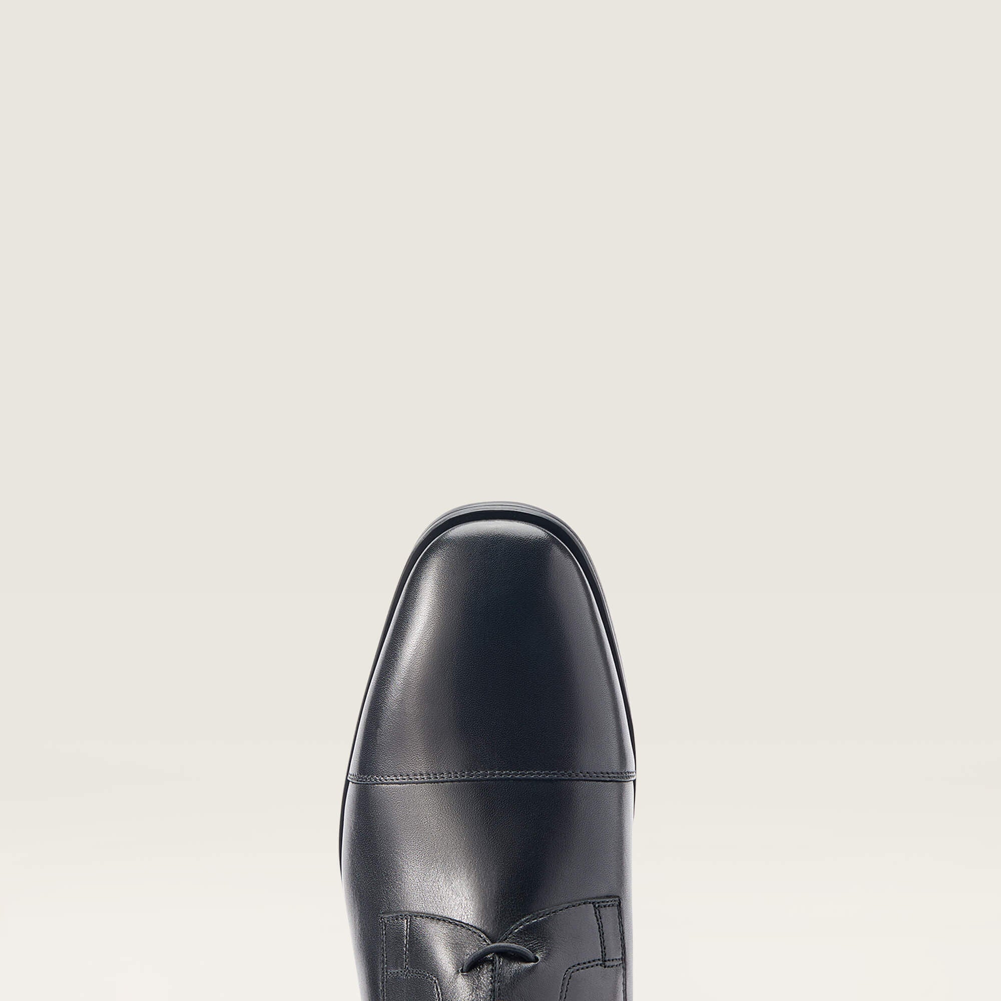Ariat / Ravello Tall Riding Boot