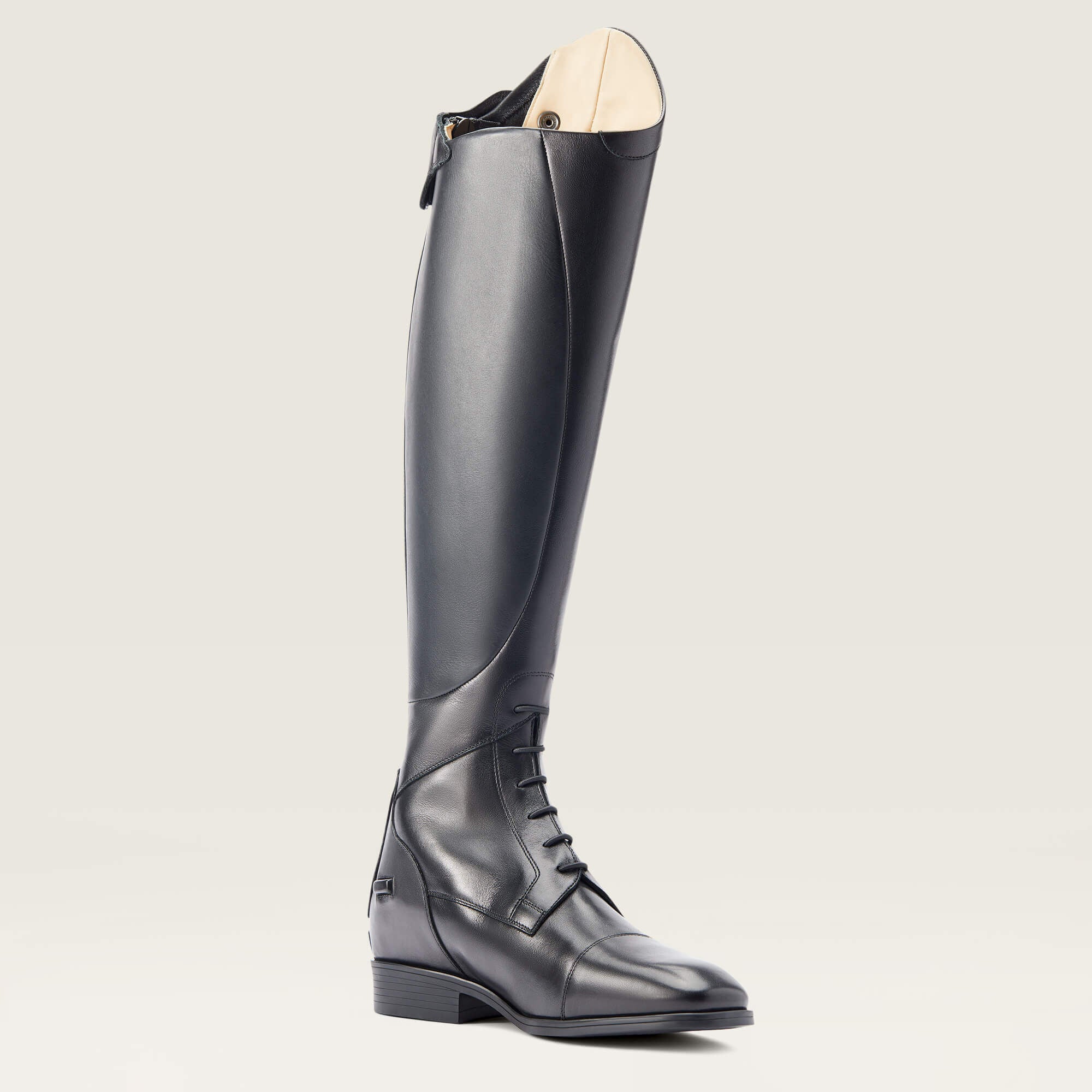 Ariat / Ravello Tall Riding Boot