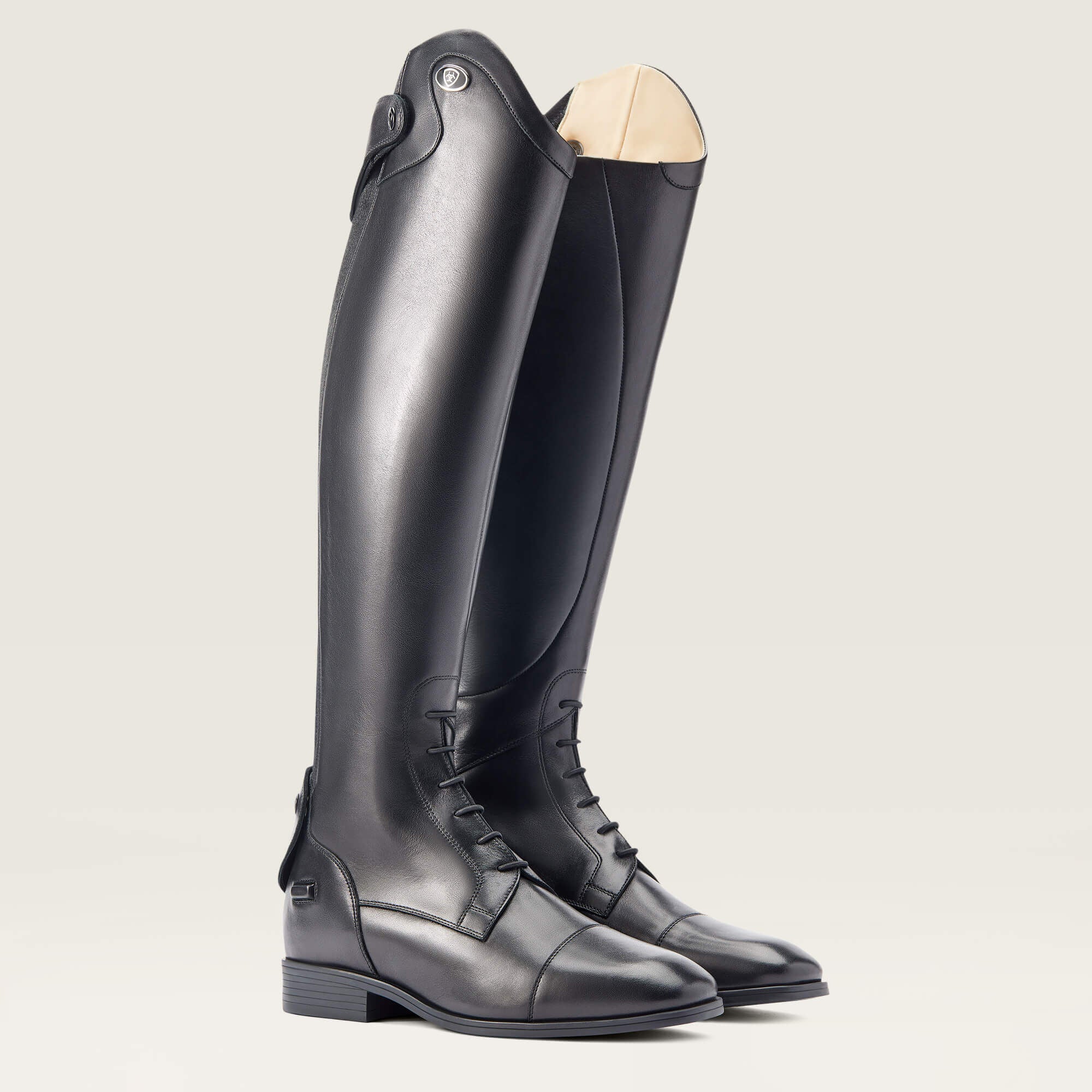 Ariat / Ravello Tall Riding Boot