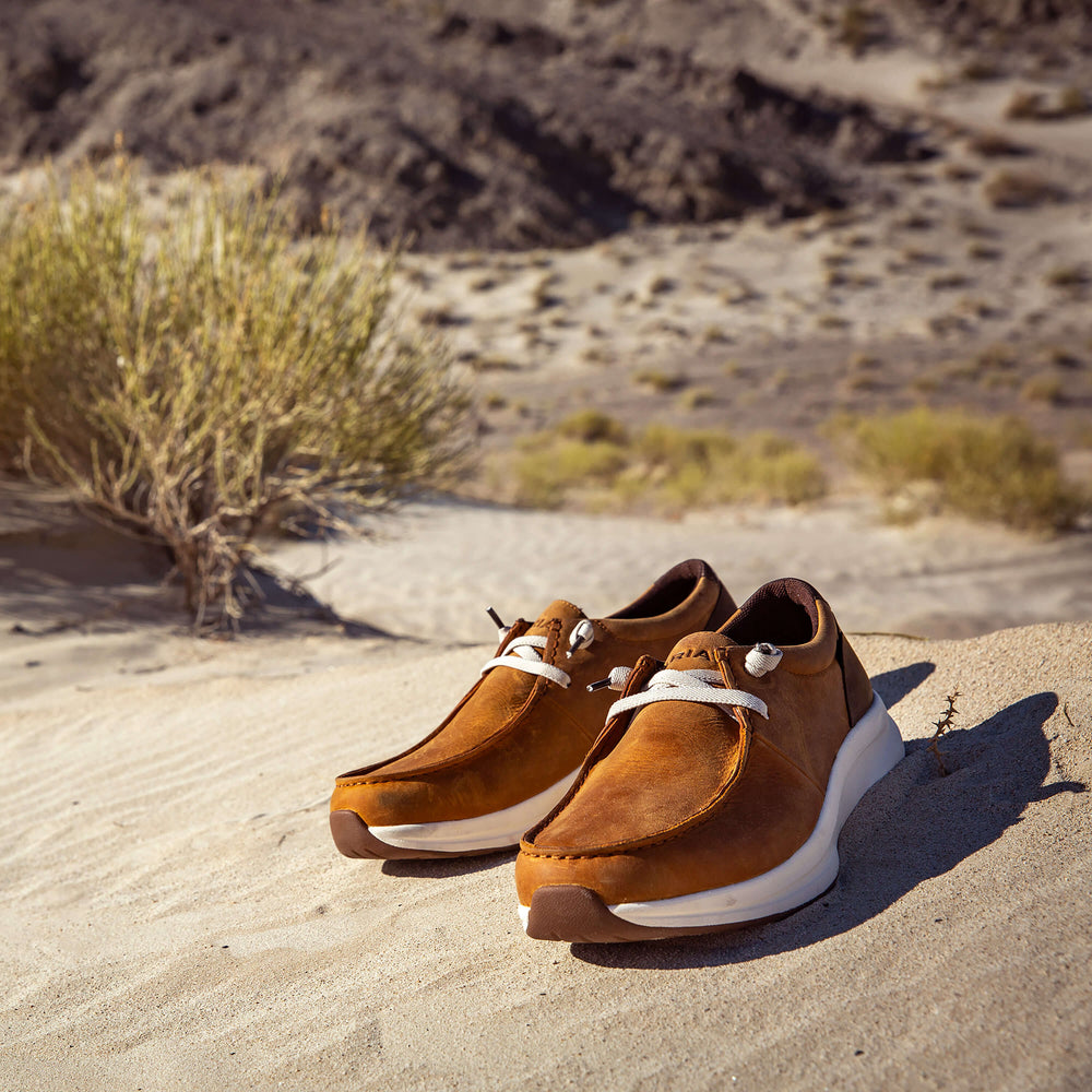 Ariat / Buckeye Waterproof Shoe