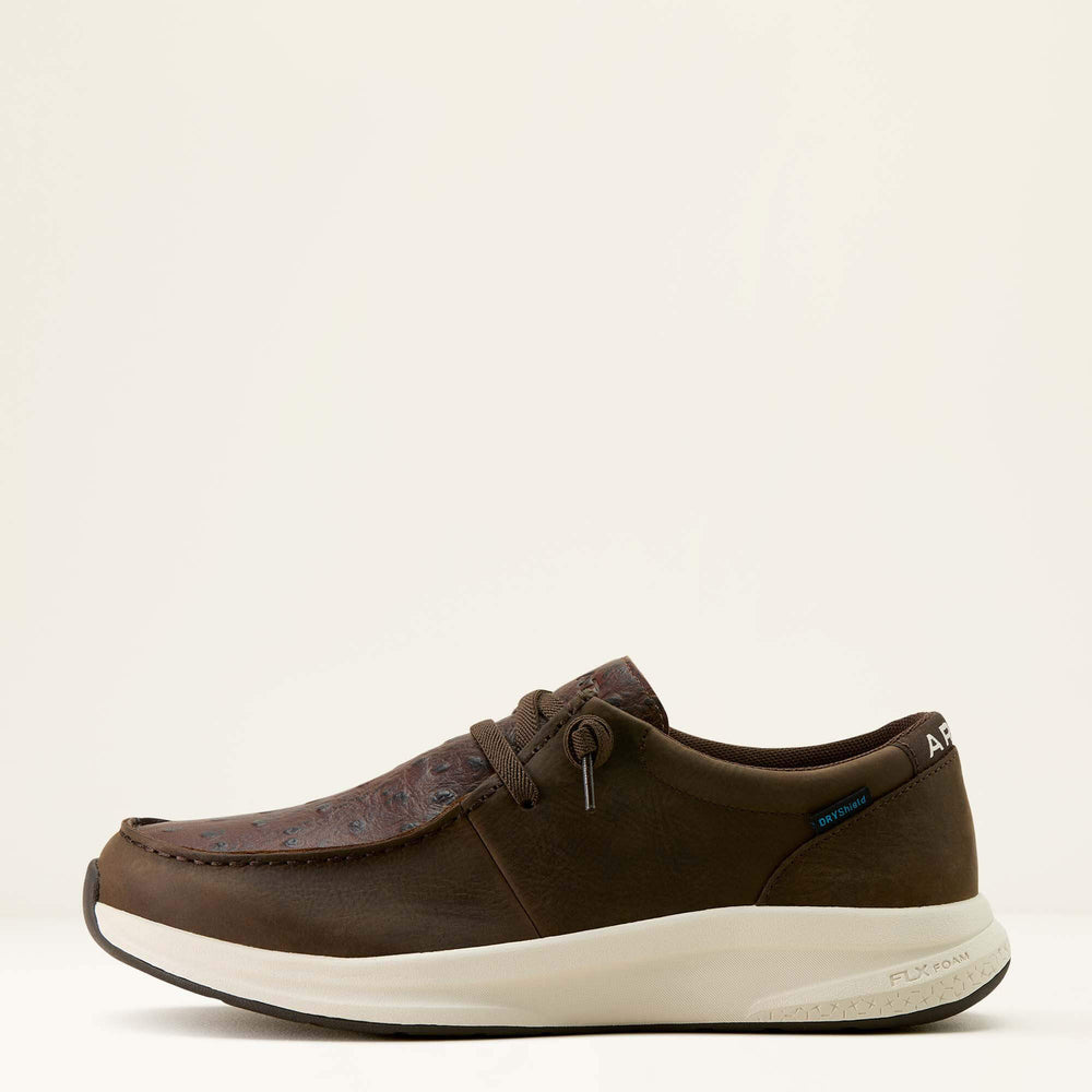 Ariat / Buckeye Waterproof Shoe