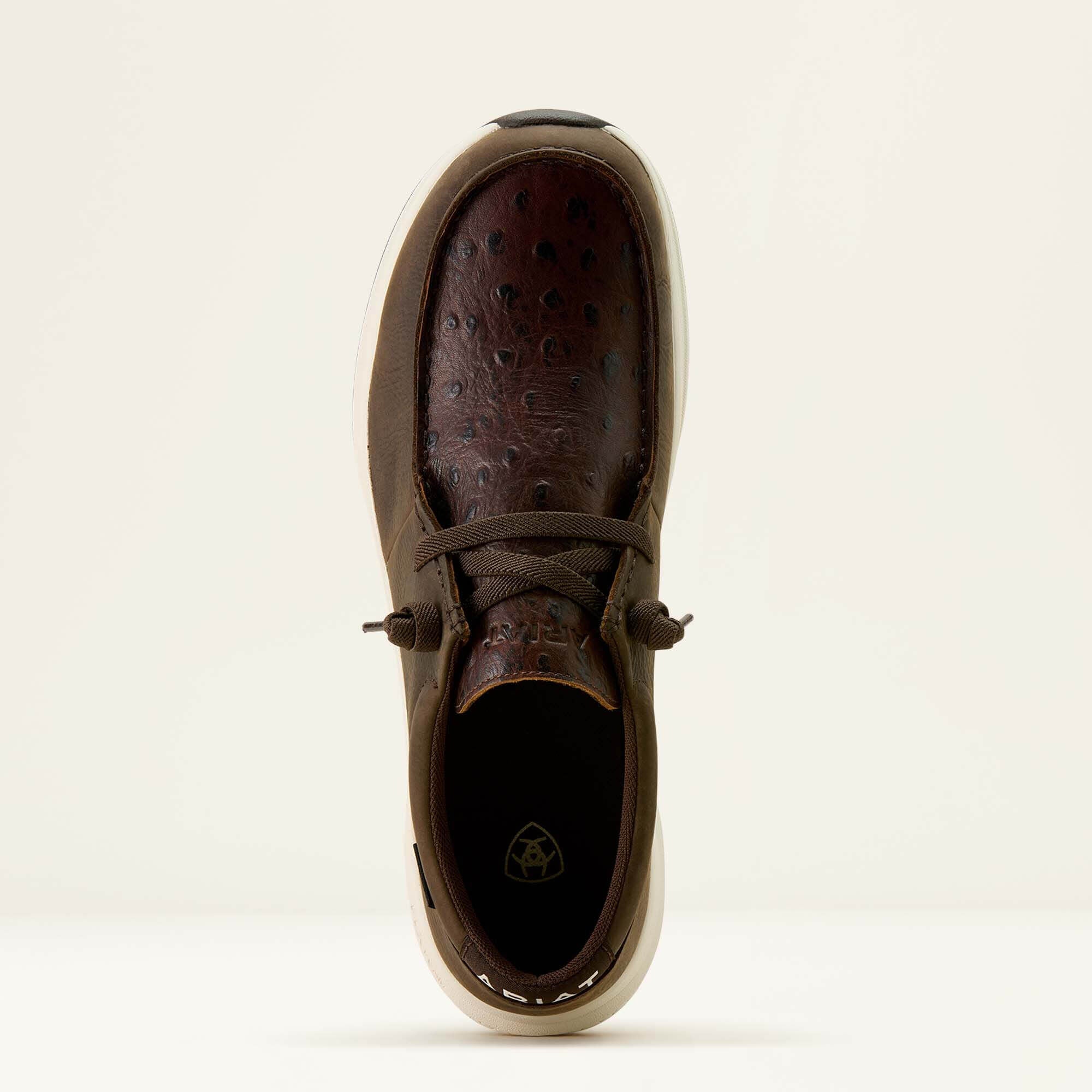 Ariat / Buckeye Waterproof Shoe
