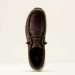 Ariat / Buckeye Waterproof Shoe