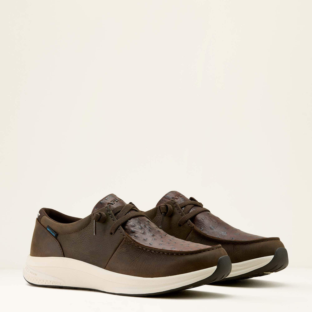 Ariat / Buckeye Waterproof Shoe