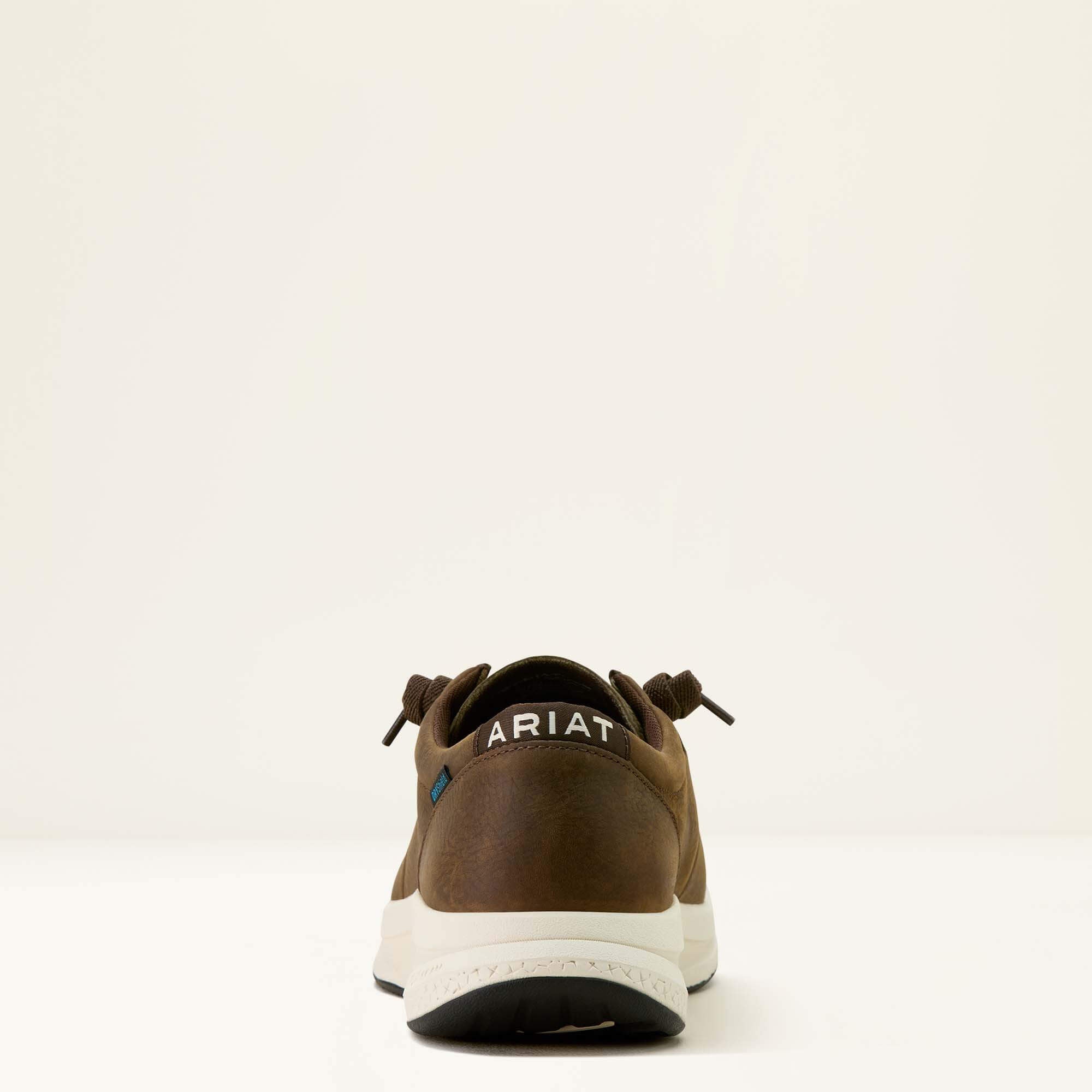 Ariat / Buckeye Waterproof Shoe