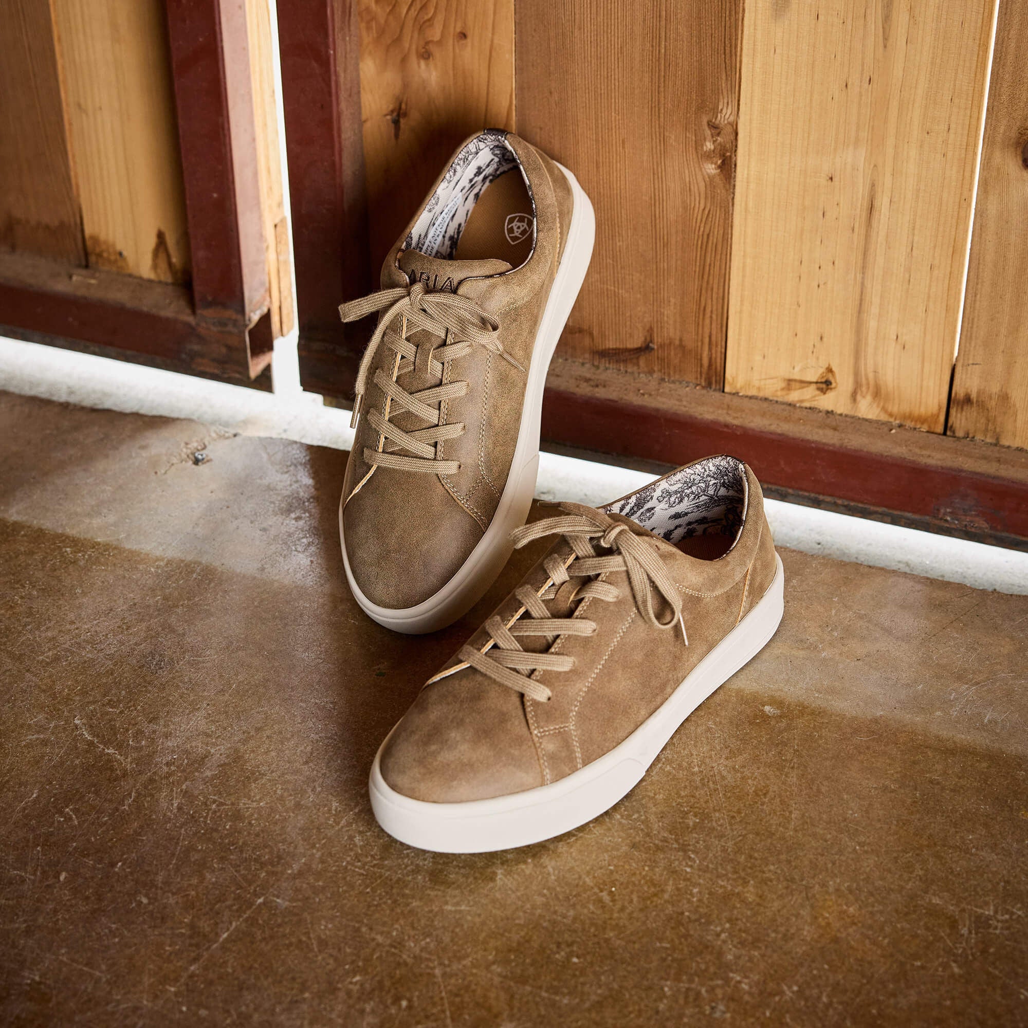 Ariat / Sawyer Shoe
