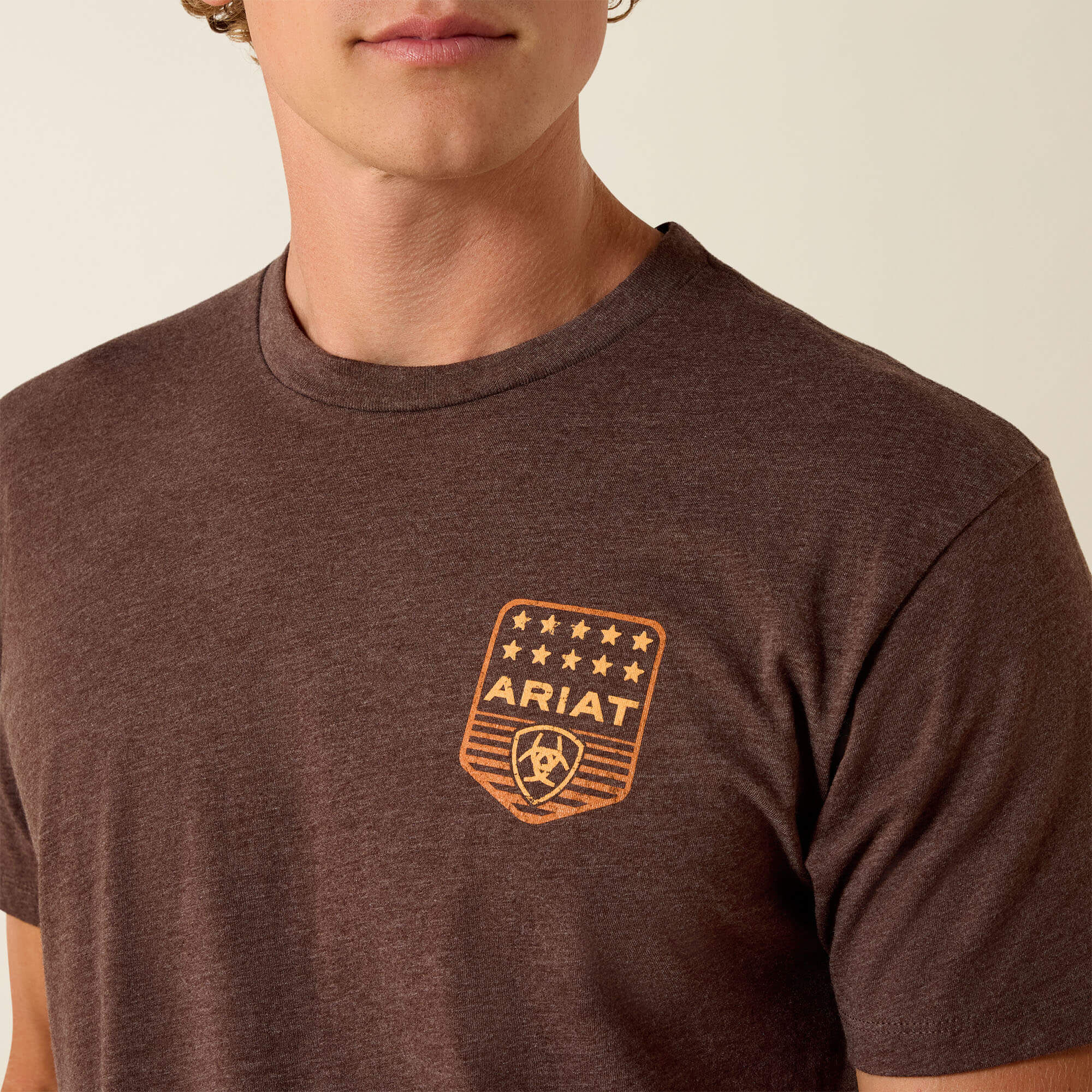 Ariat / Ariat Stripe Patriotic Badge T-Shirt