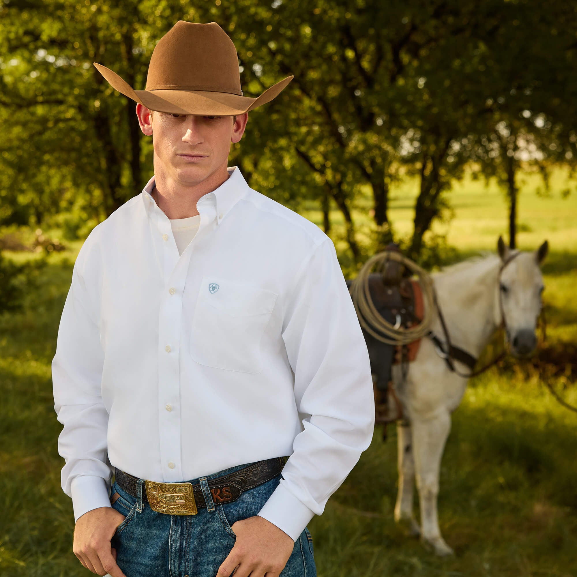 Ariat / Wrinkle Free Solid Classic Fit Shirt