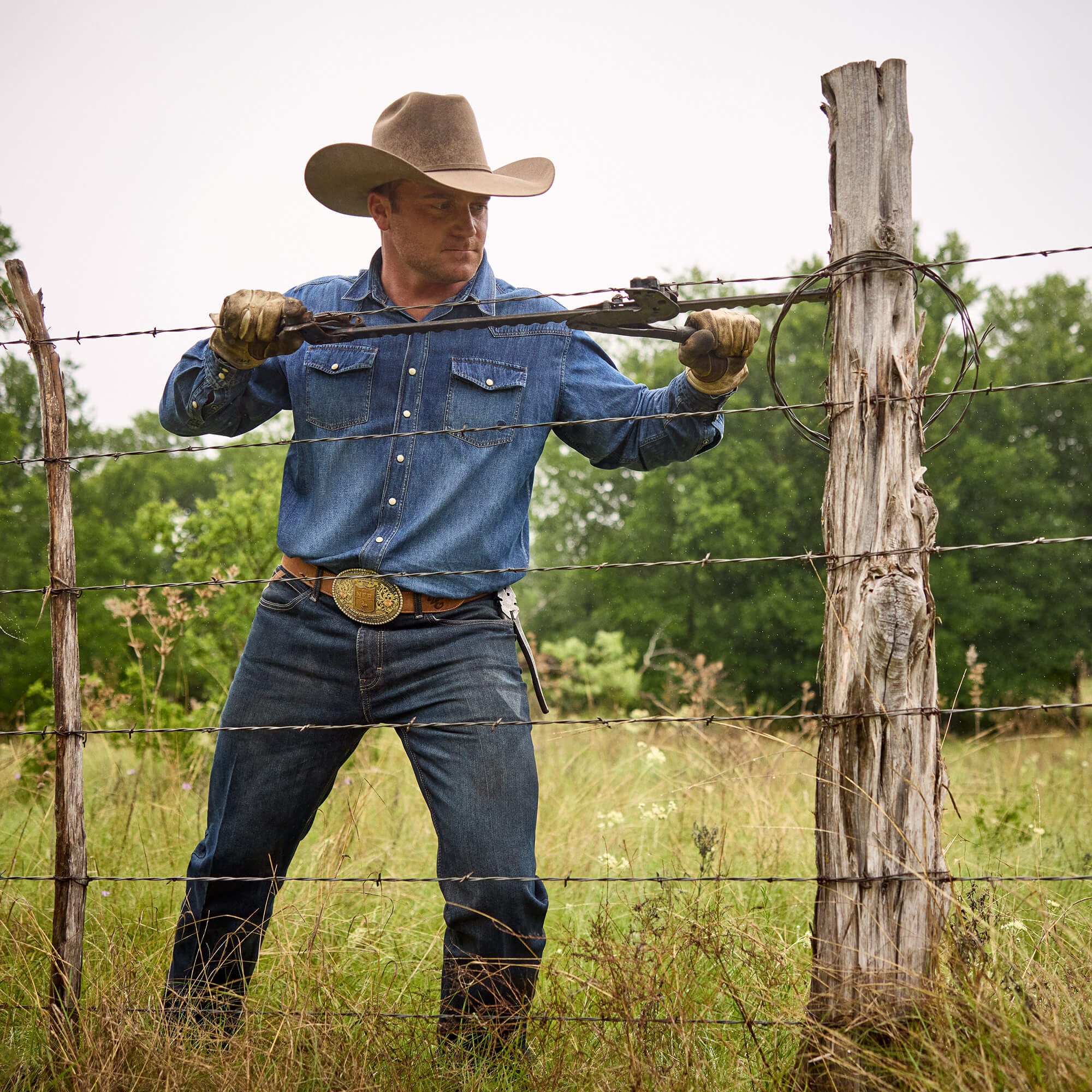 Ariat / Classic Denim Shirt