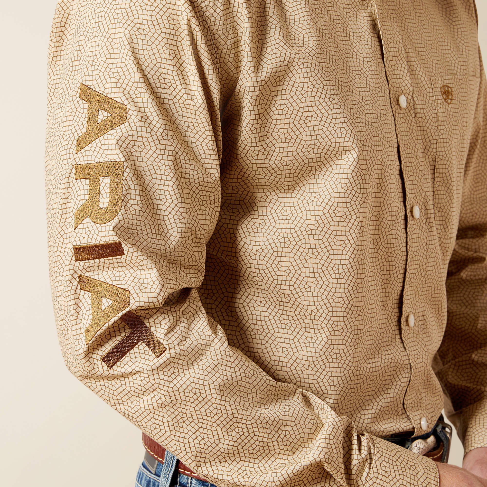Ariat / Team Penn Fitted Shirt