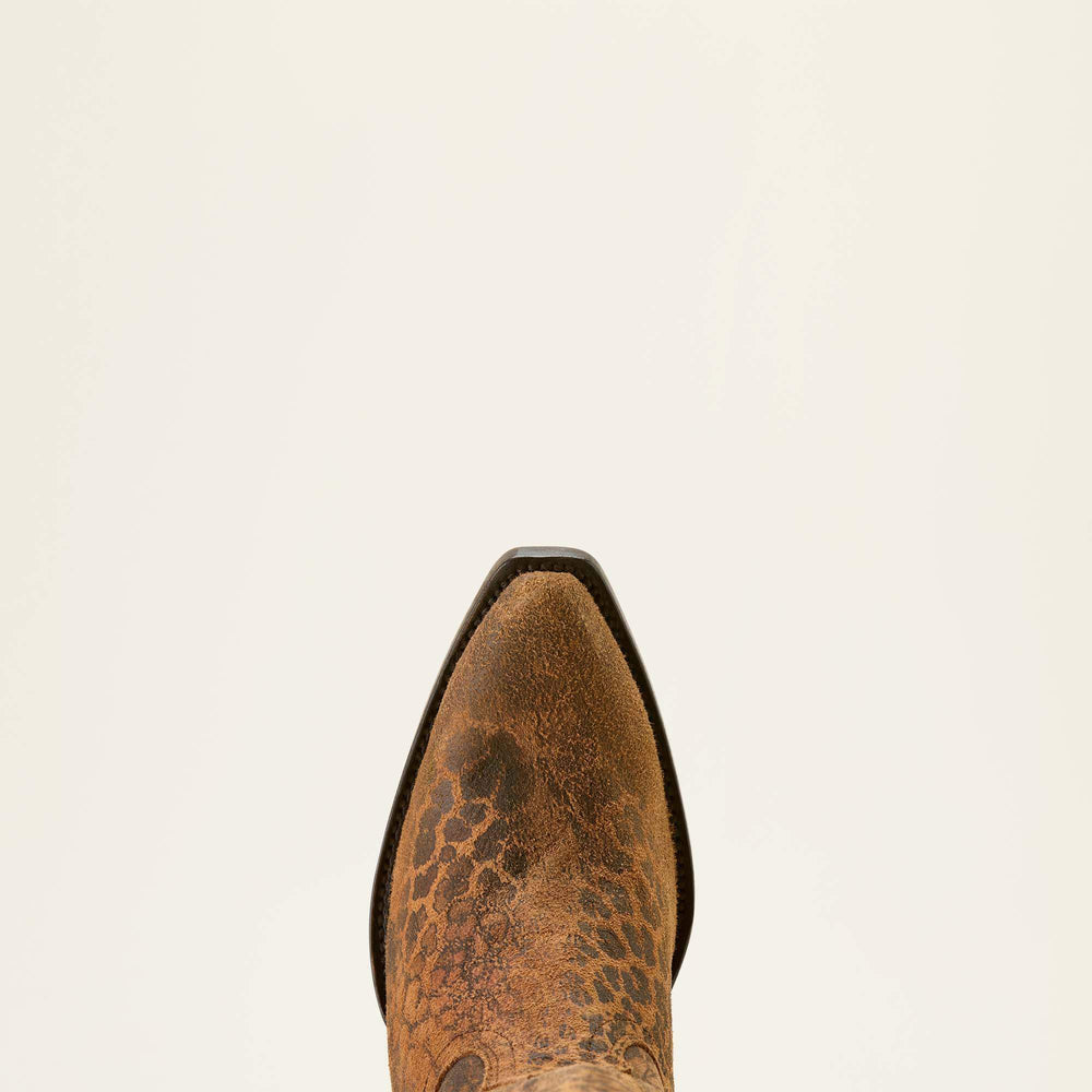 Ariat / Casanova X Toe Western Boot