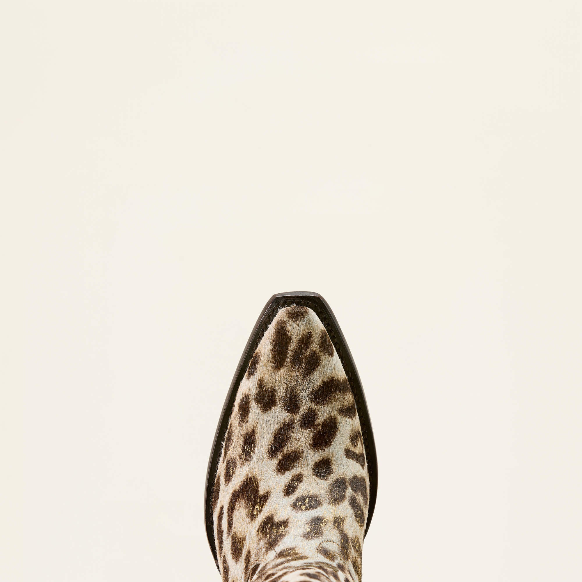 Ariat / Casanova X Toe Western Boot