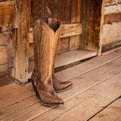 Ariat / Casanova X Toe Western Boot