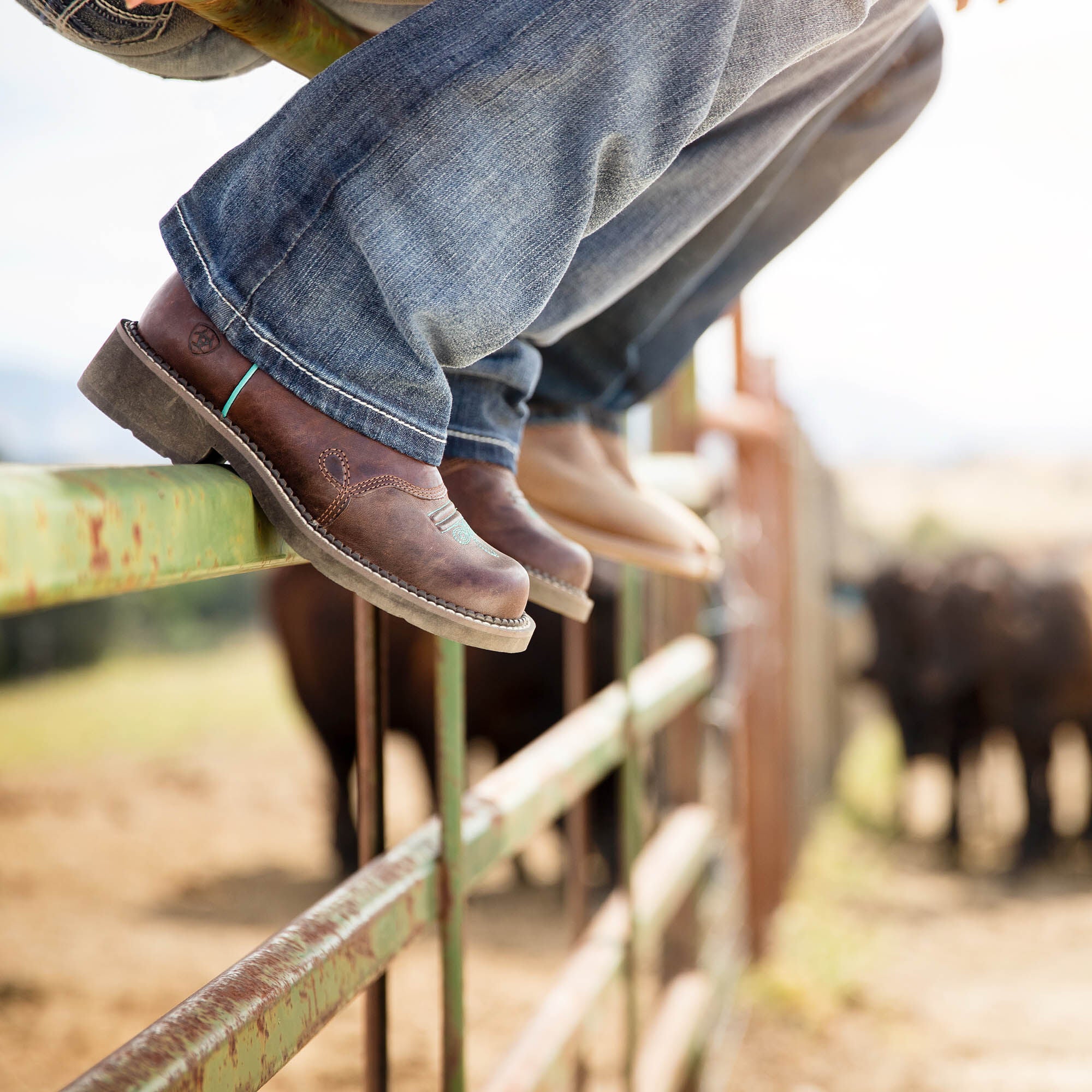 Ariat / Fatbaby Heritage Dapper Western Boot