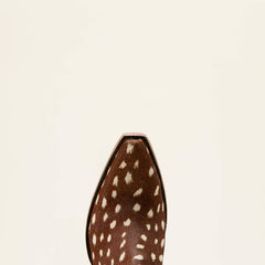 Ariat / Dixon X Toe Western Boot