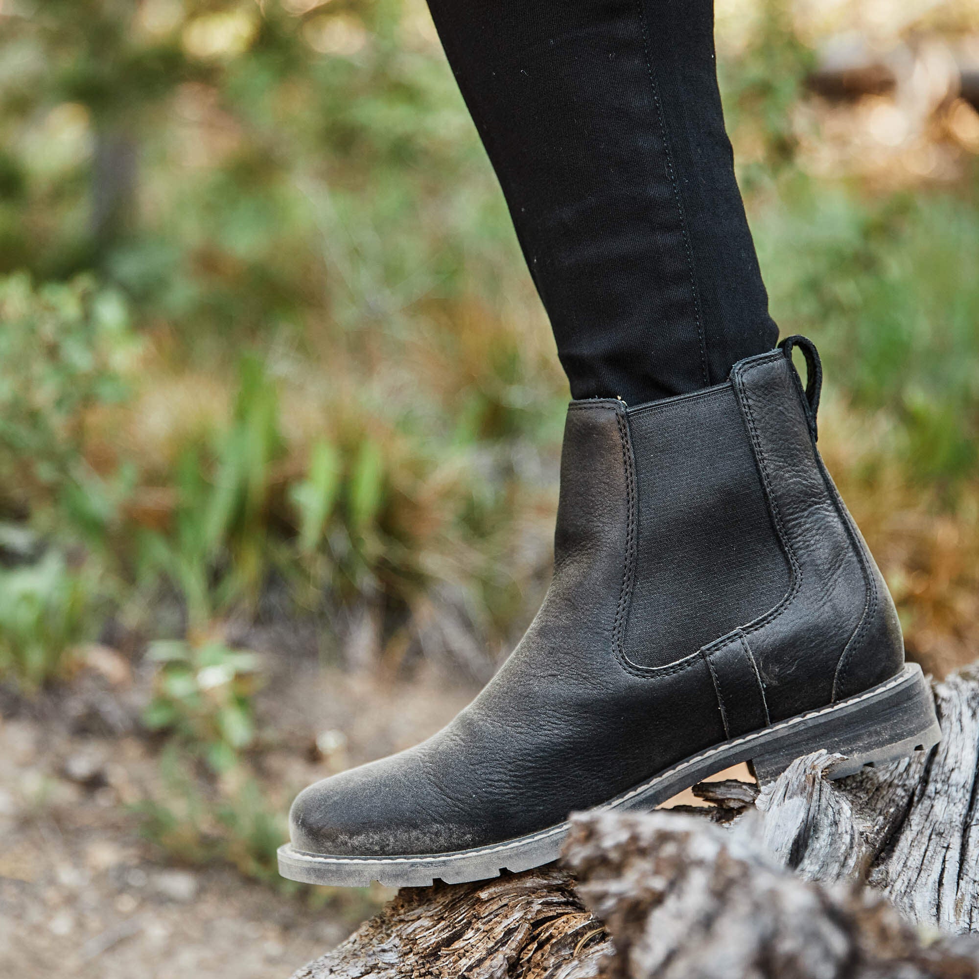 Ariat / Wexford Waterproof Chelsea Boot