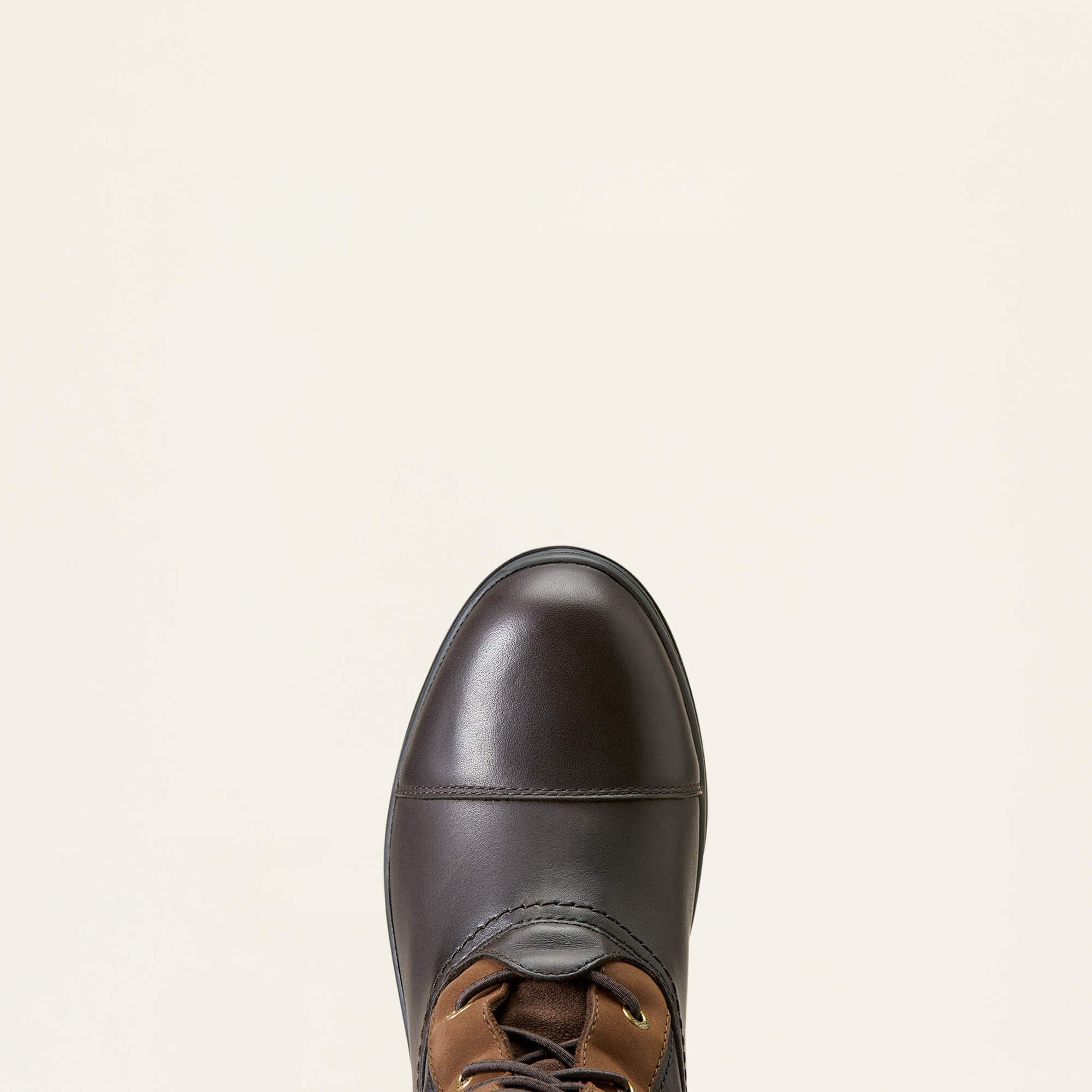 Ariat / Coniston Max Waterproof Insulated Boot