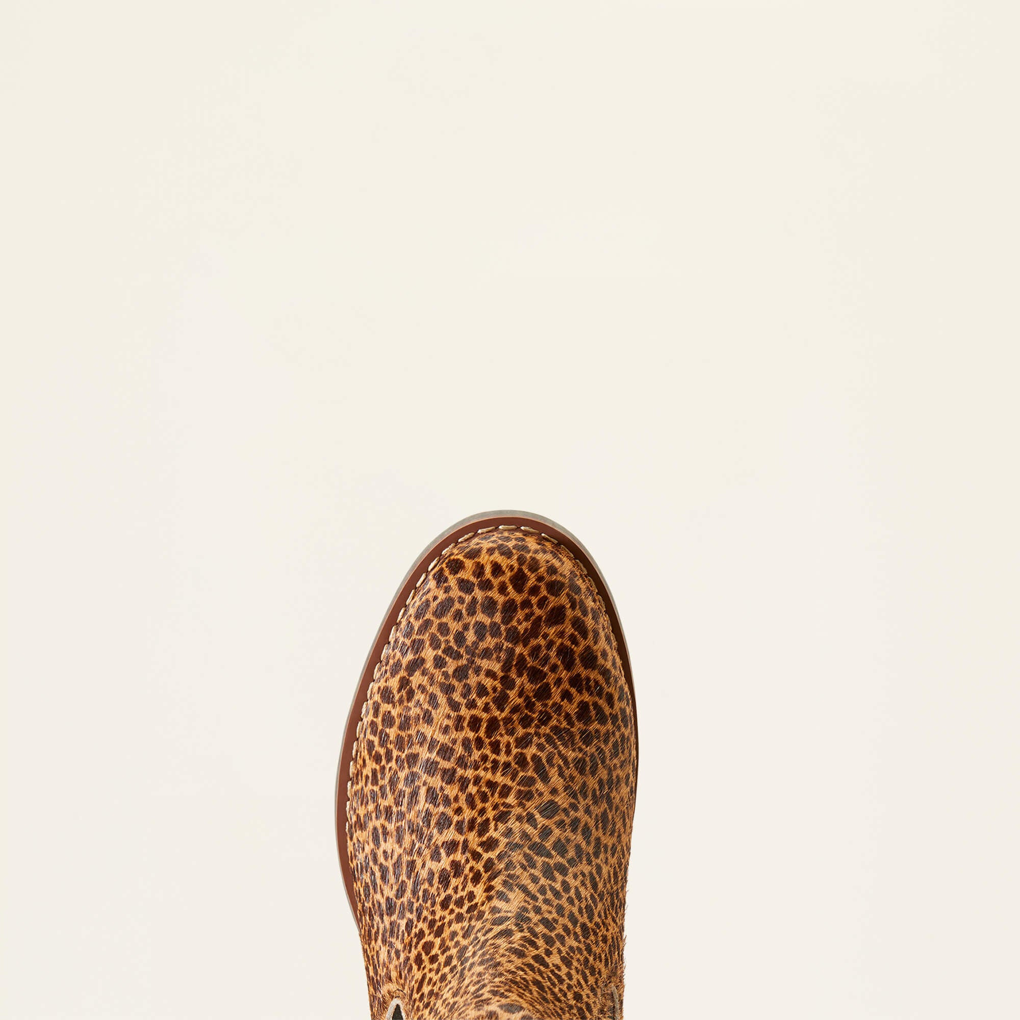 Ariat / Wexford Chelsea Boot