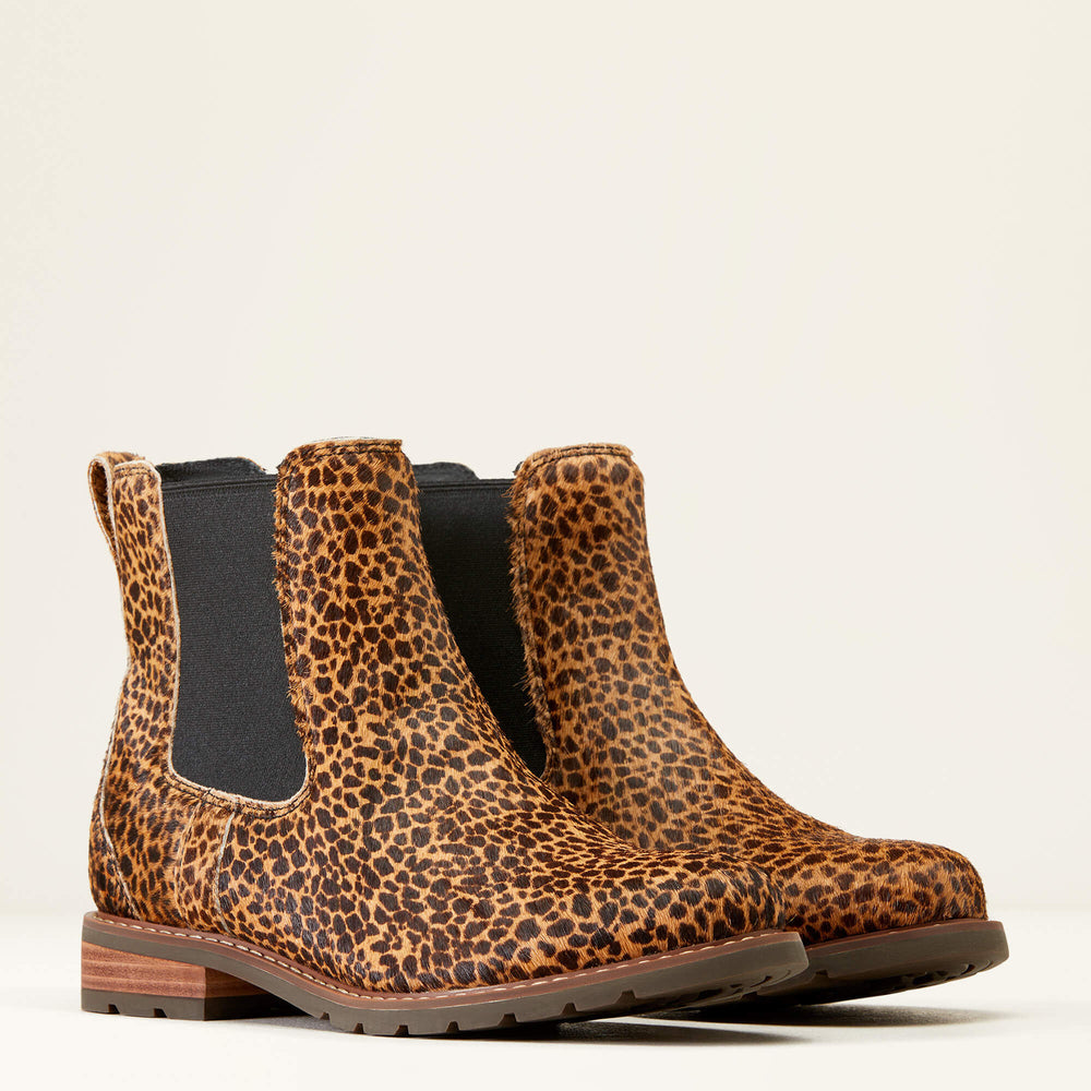 Ariat / Wexford Chelsea Boot