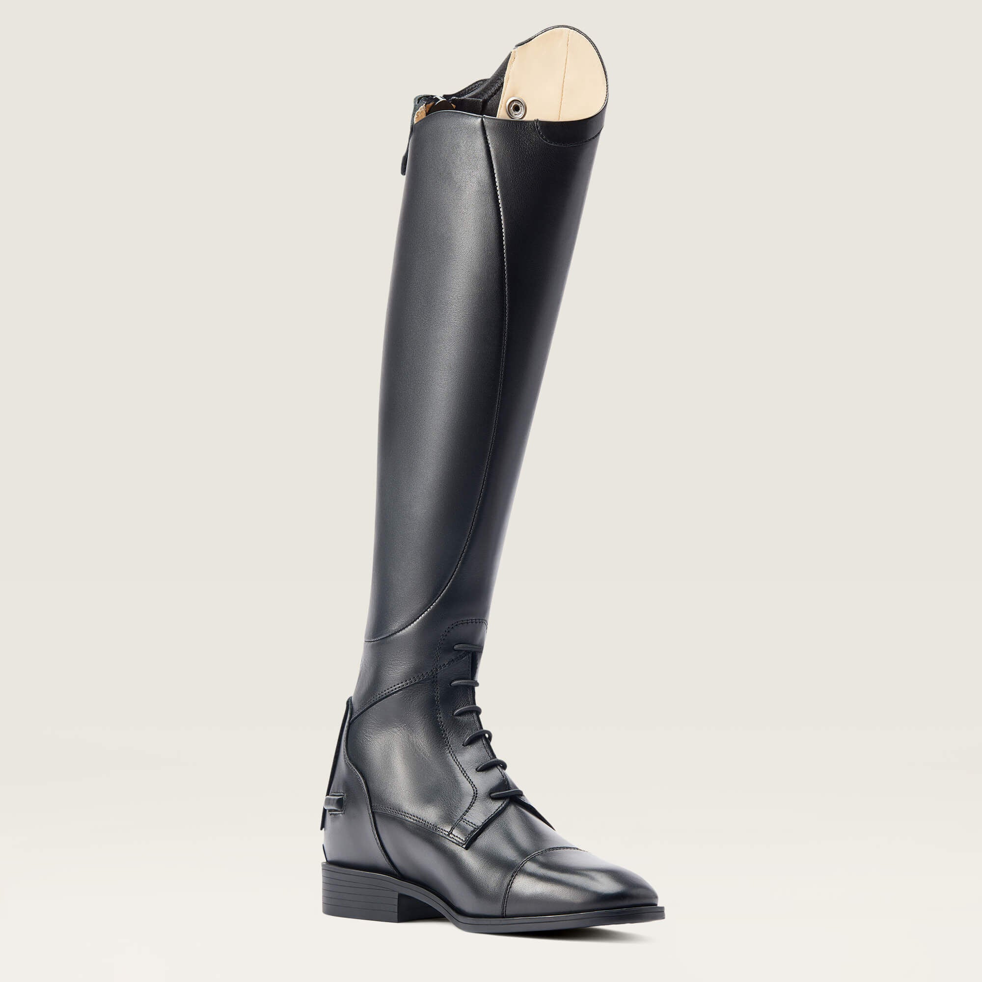 Ariat / Ravello Tall Riding Boot
