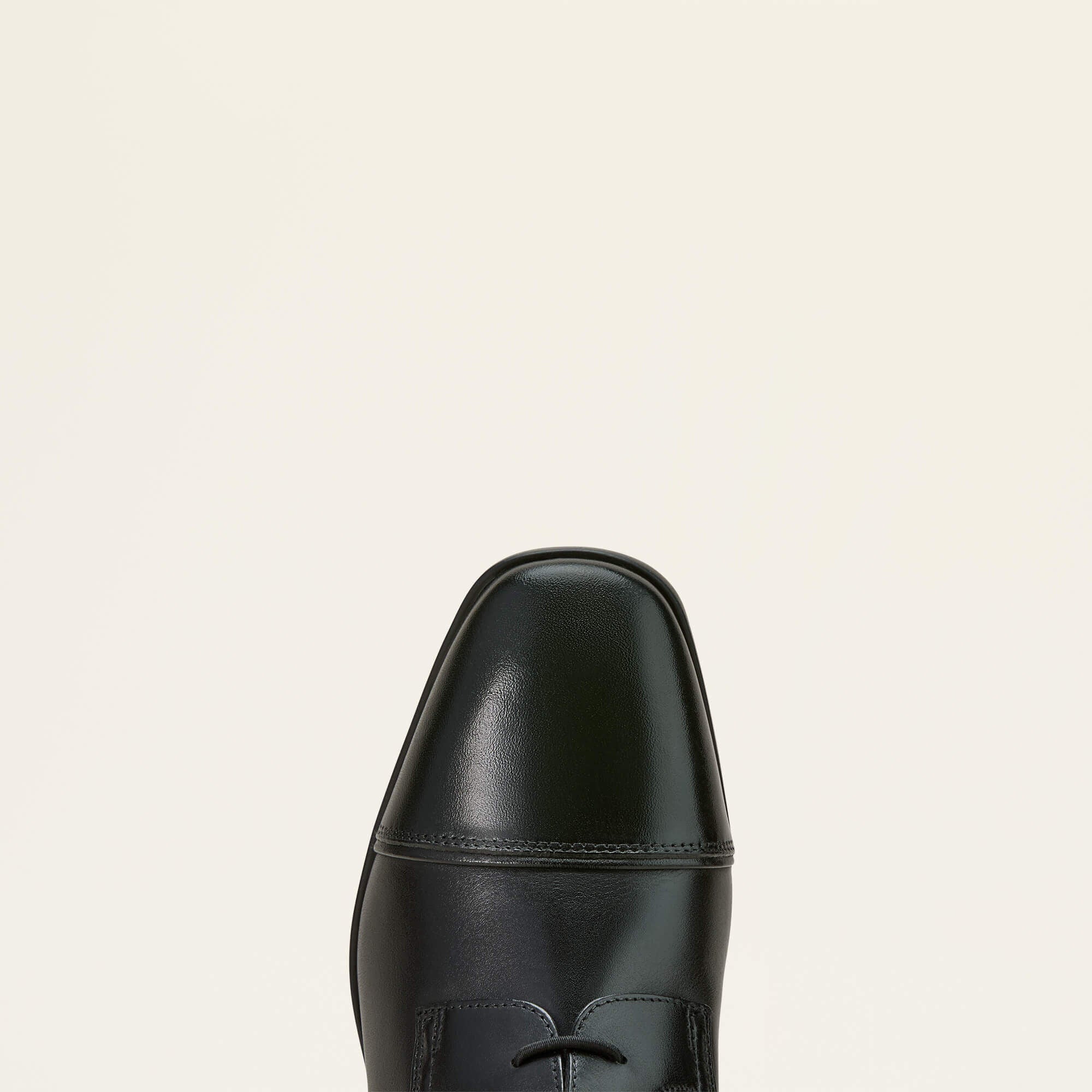 Ariat / Palisade Field Tall Riding Boot