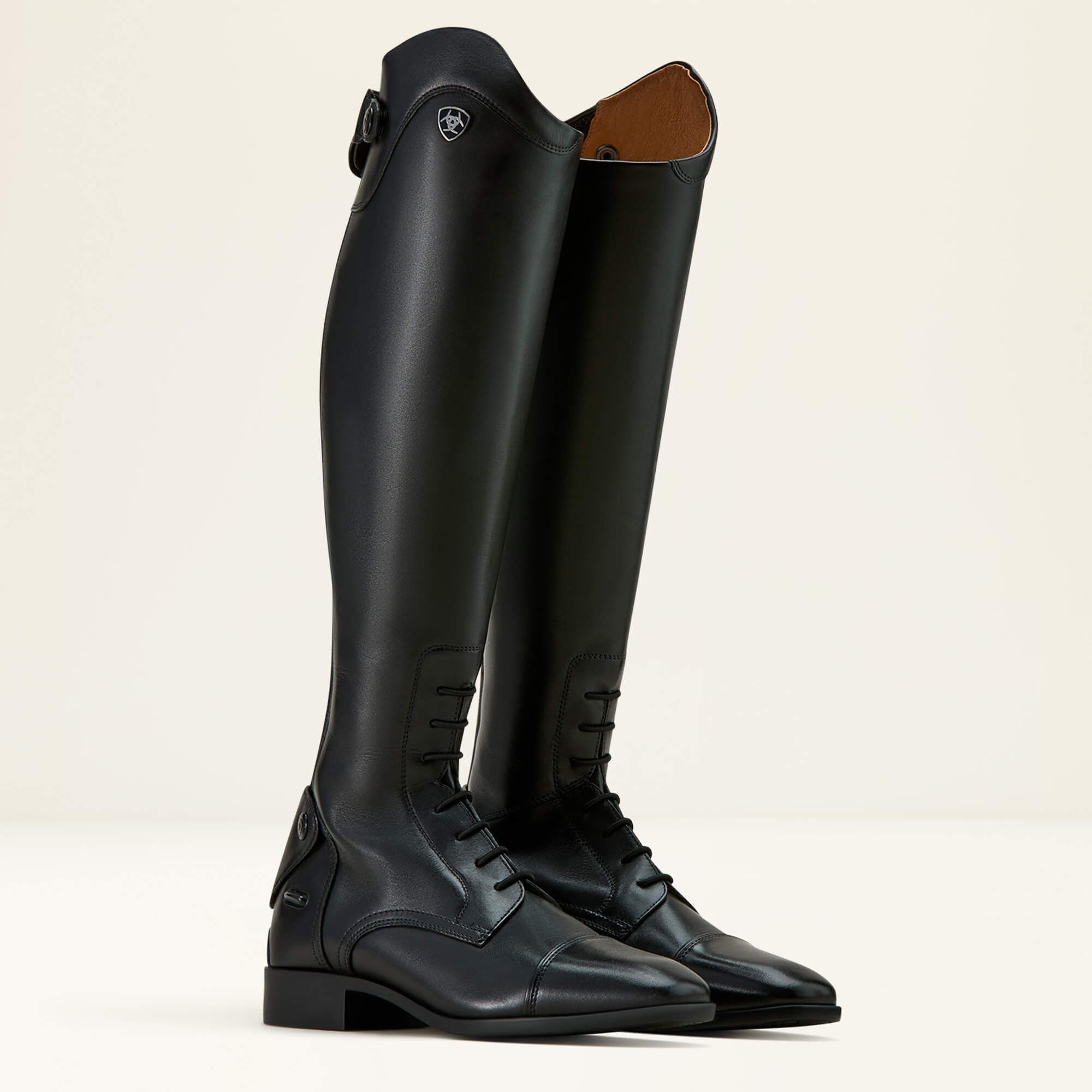 Ariat / Palisade Field Tall Riding Boot