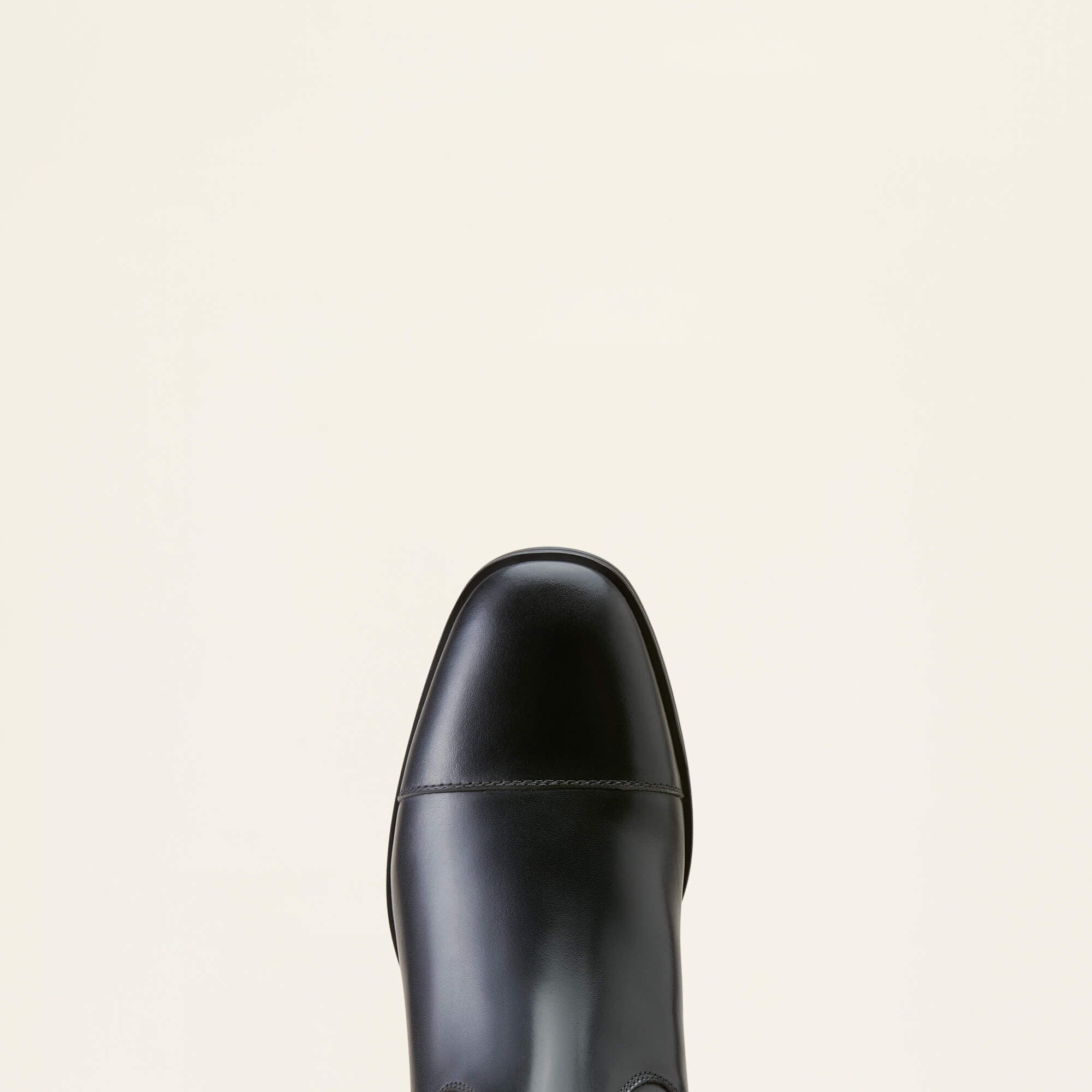 Ariat / Ravello Dress Tall Riding Boot