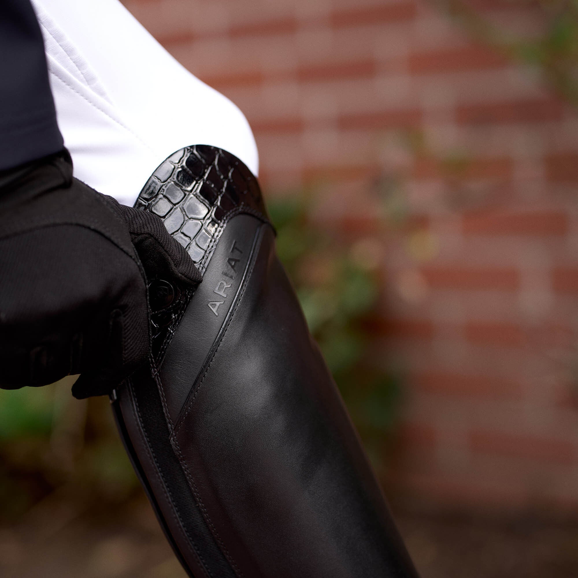 Ariat / Palisade Show Tall Riding Boot