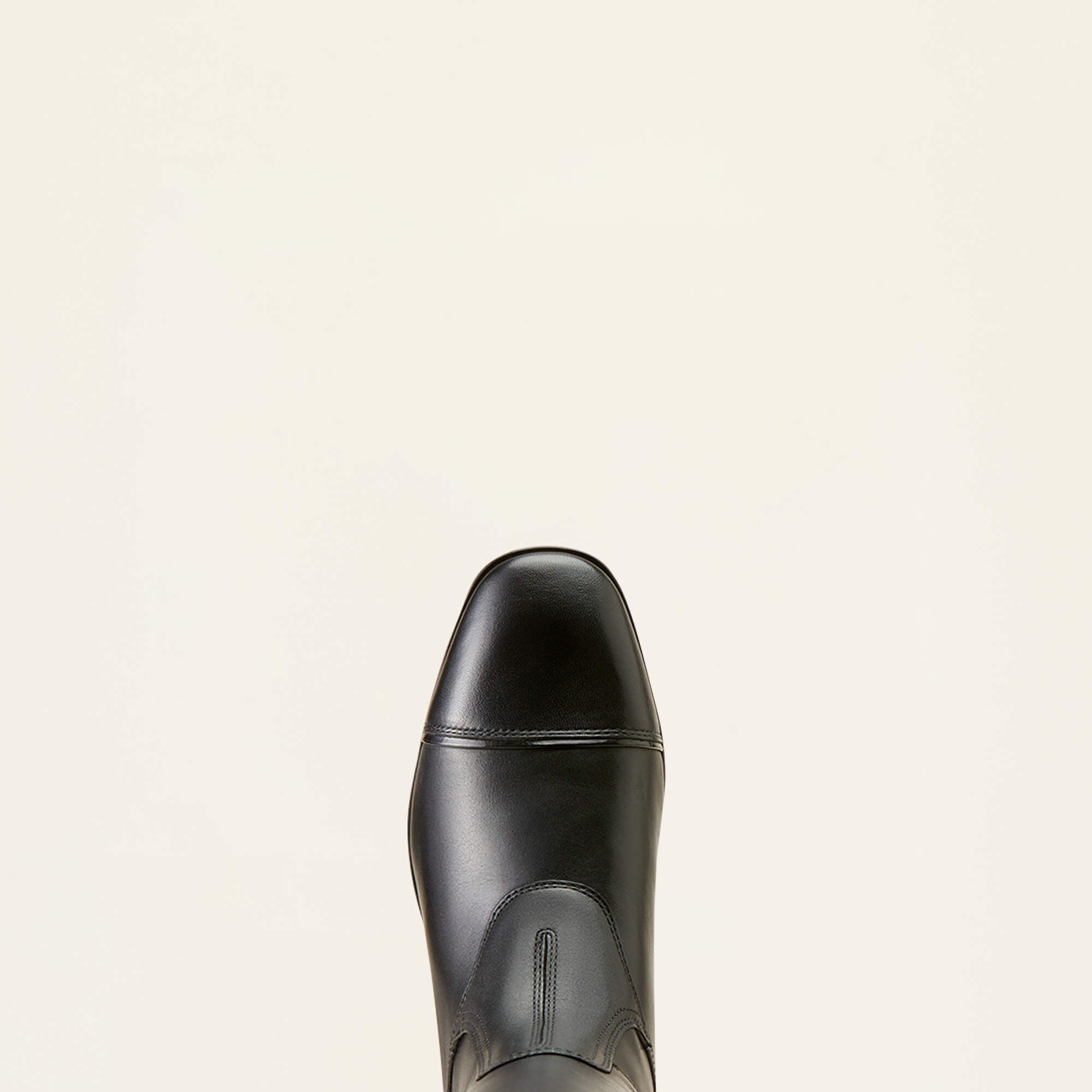 Ariat / Palisade Show Tall Riding Boot