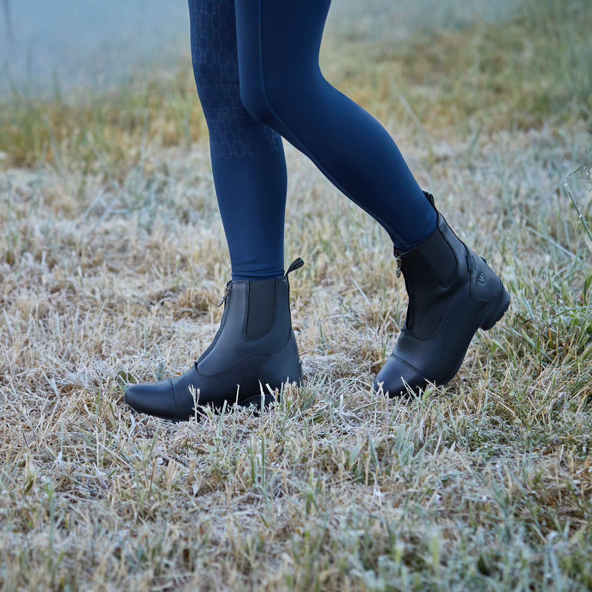 Ariat / Heritage IV Zip Waterproof Insulated Paddock Boot