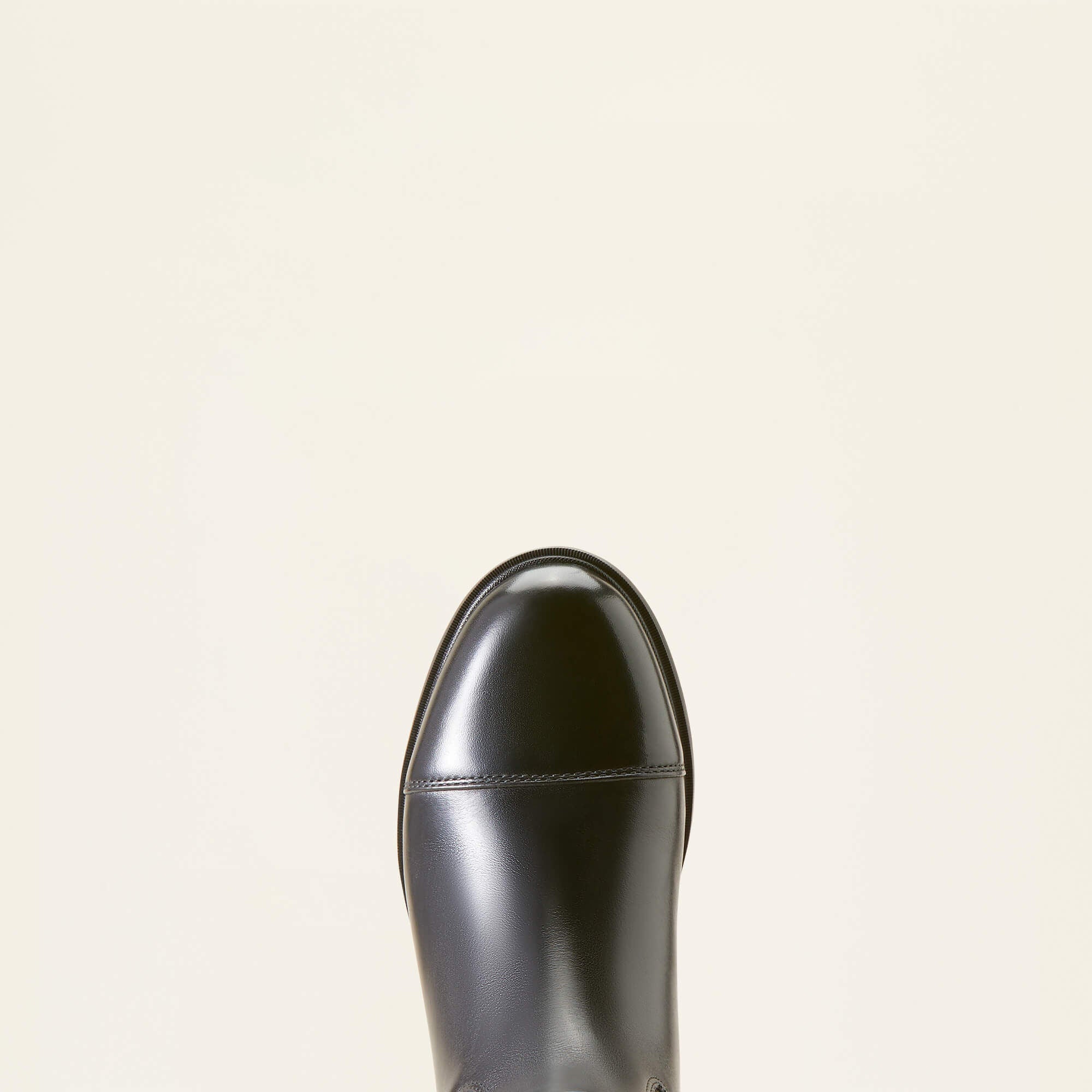 Ariat / Devon Tall Riding Boot