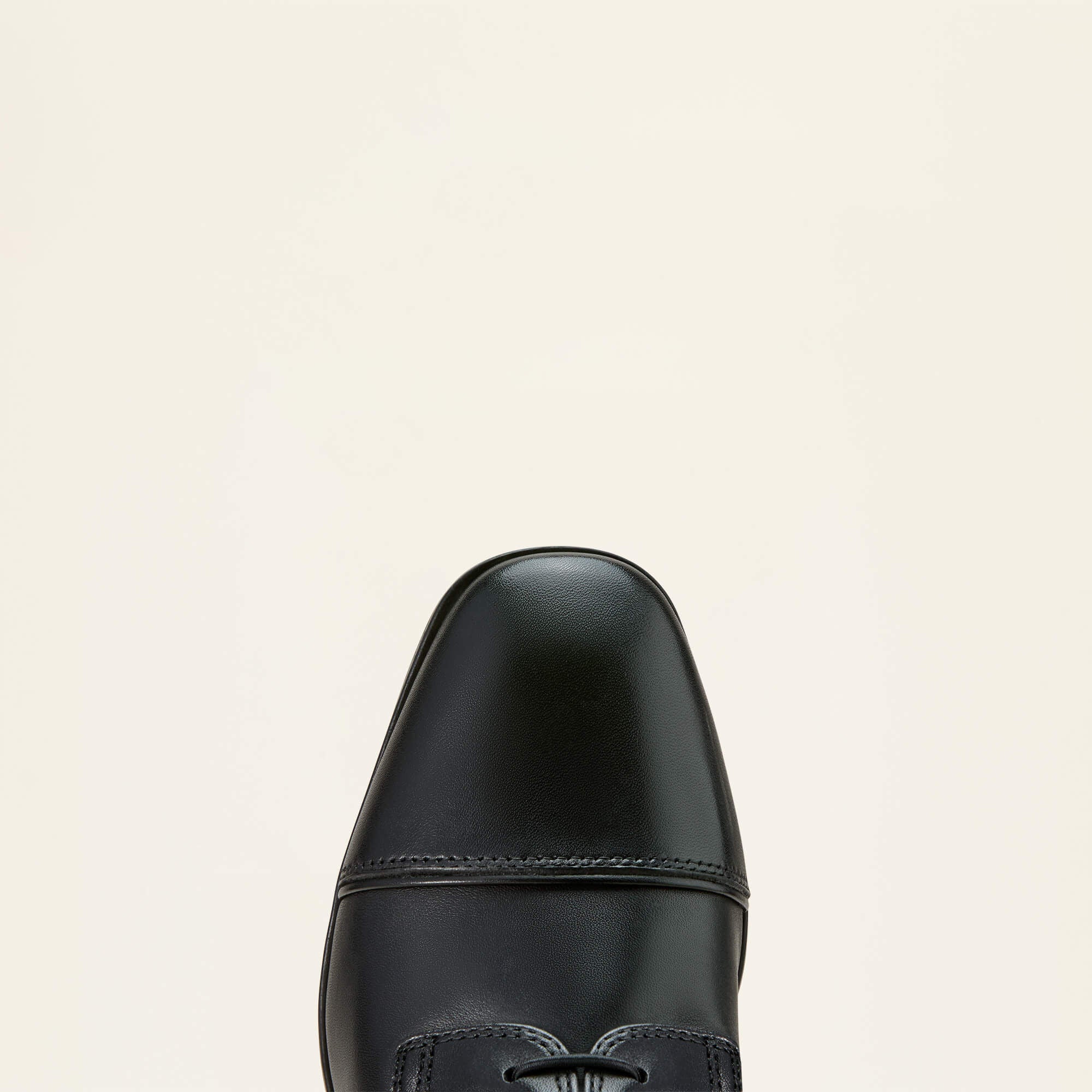 Ariat / Palisade Lace Tall Riding Boot