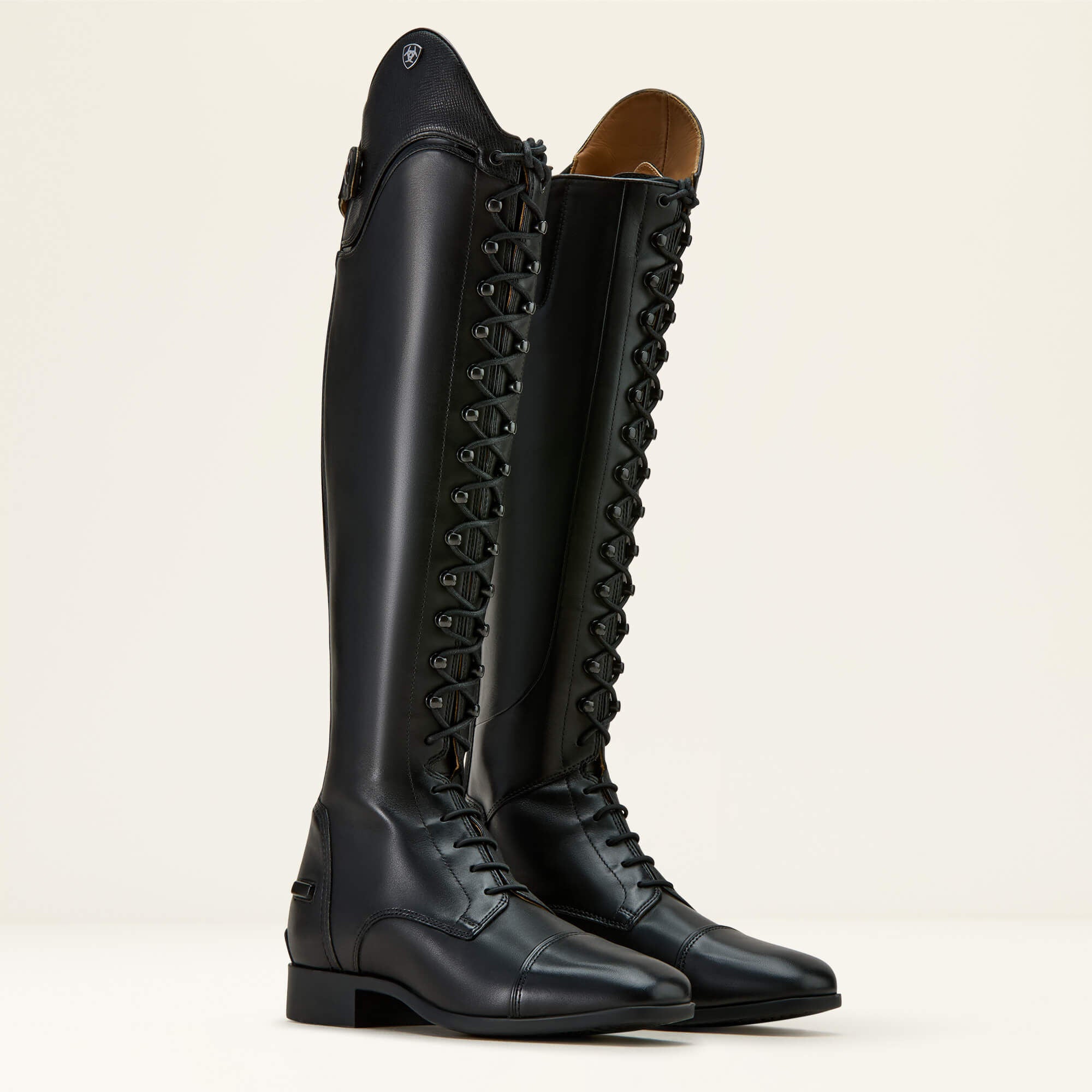 Ariat / Palisade Lace Tall Riding Boot