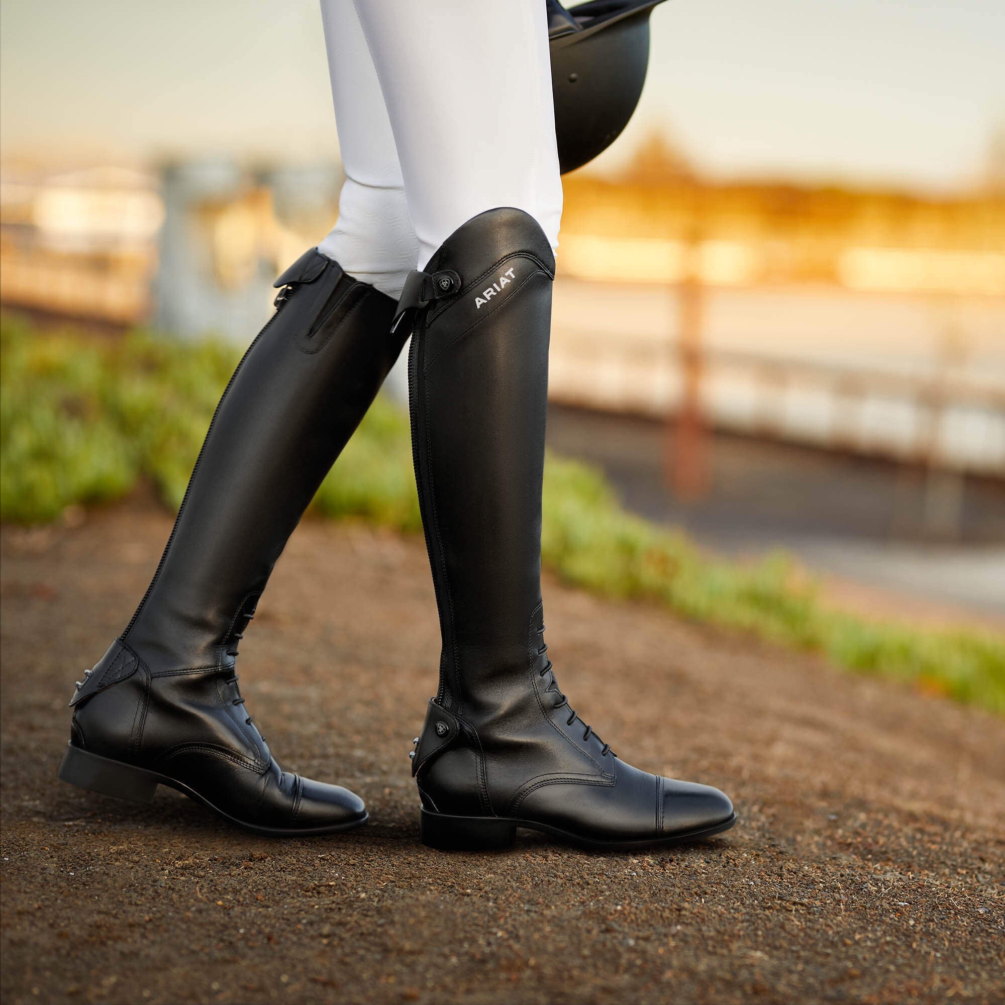 Ariat / Palisade Tall Riding Boot