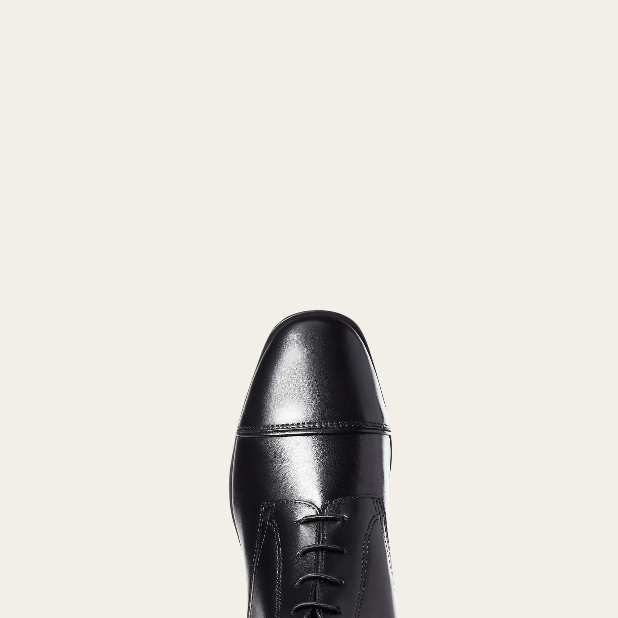 Ariat / Palisade Tall Riding Boot