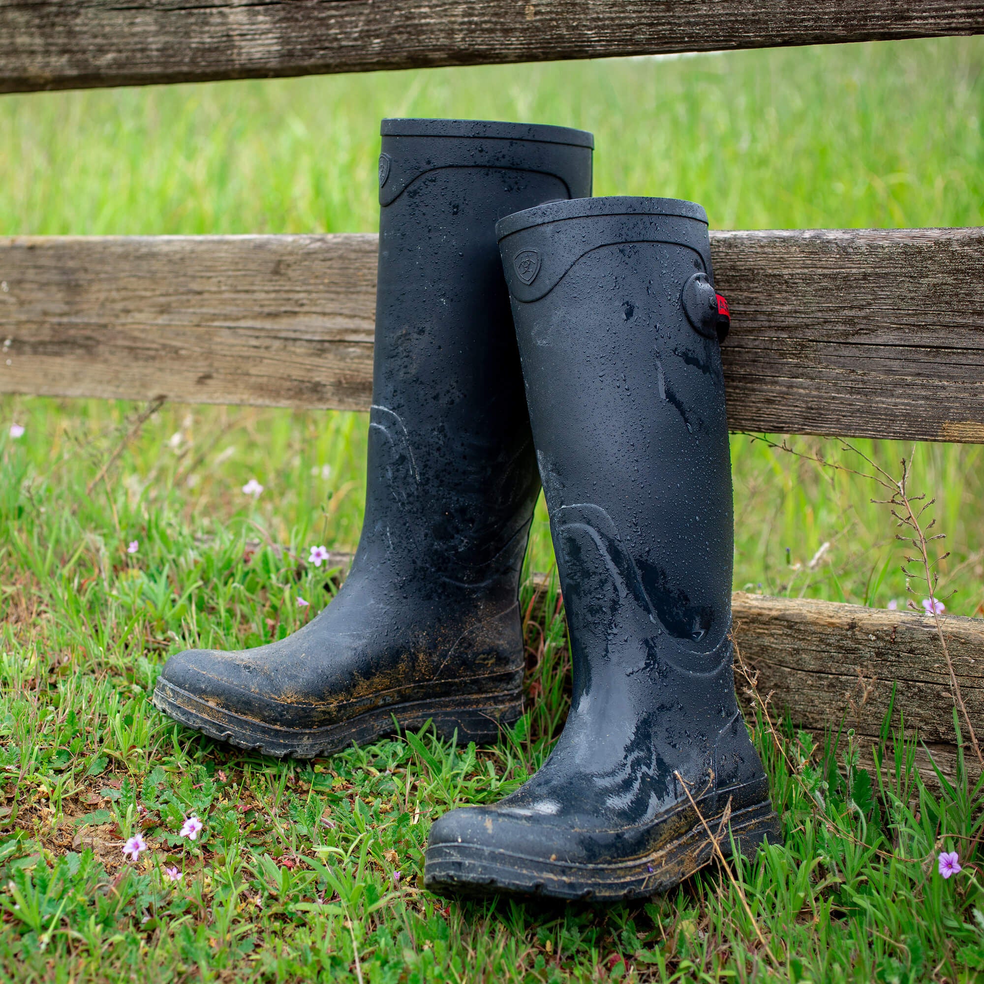 Ariat / Kelmarsh Rubber Boot
