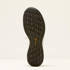 Ariat / Buckeye Steel Toe Work Shoe