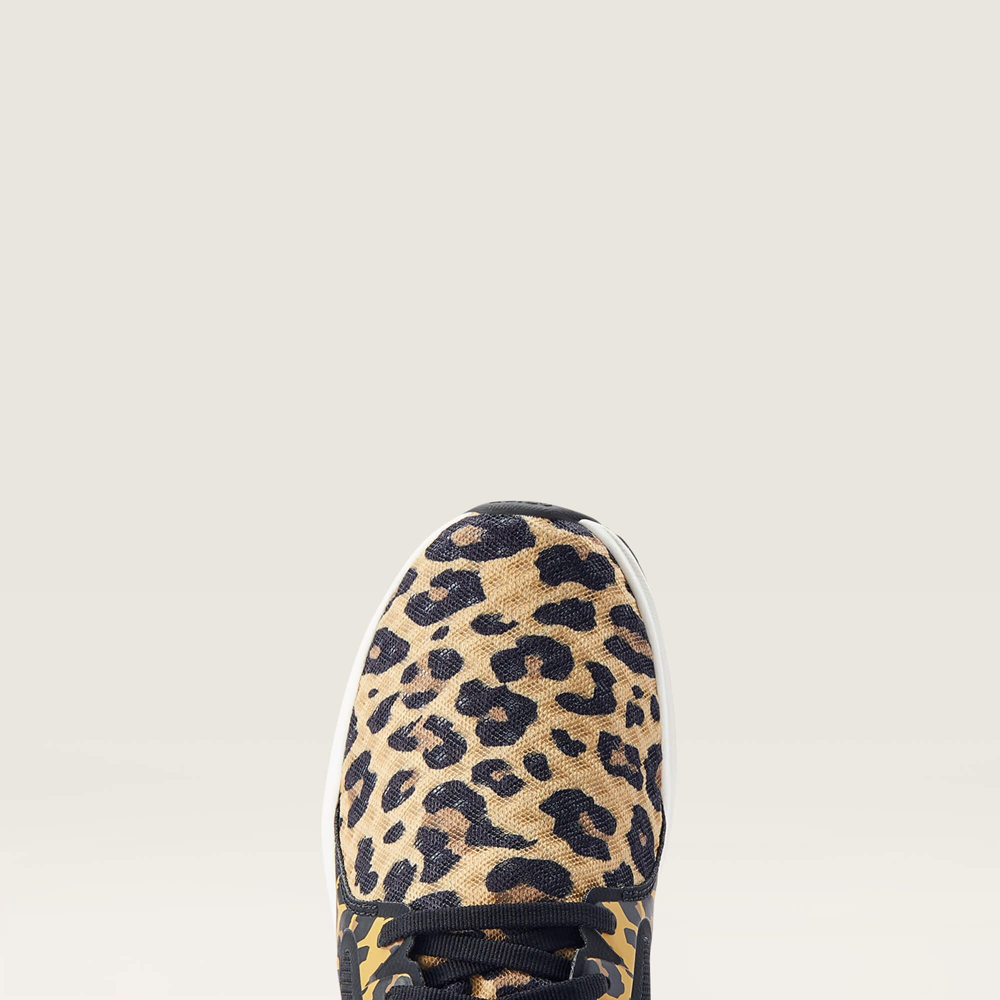 Ariat / Fuse