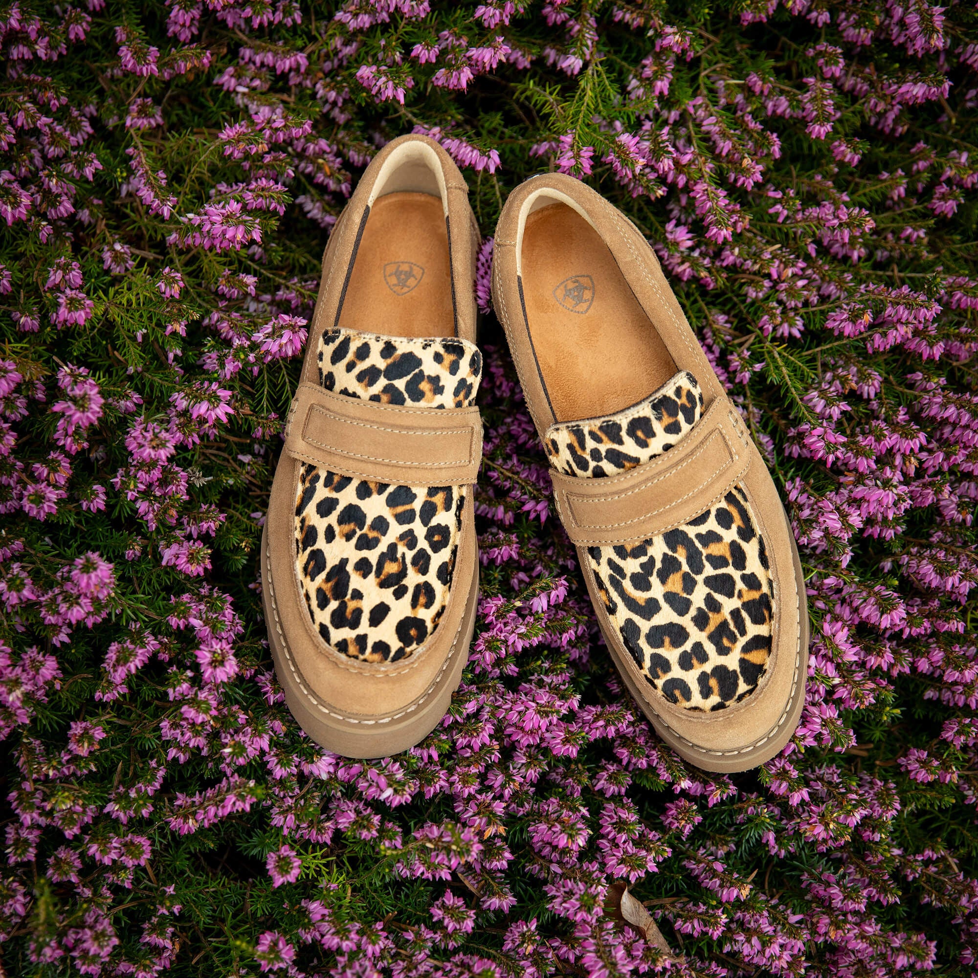 Ariat / Stratford Lug Loafer