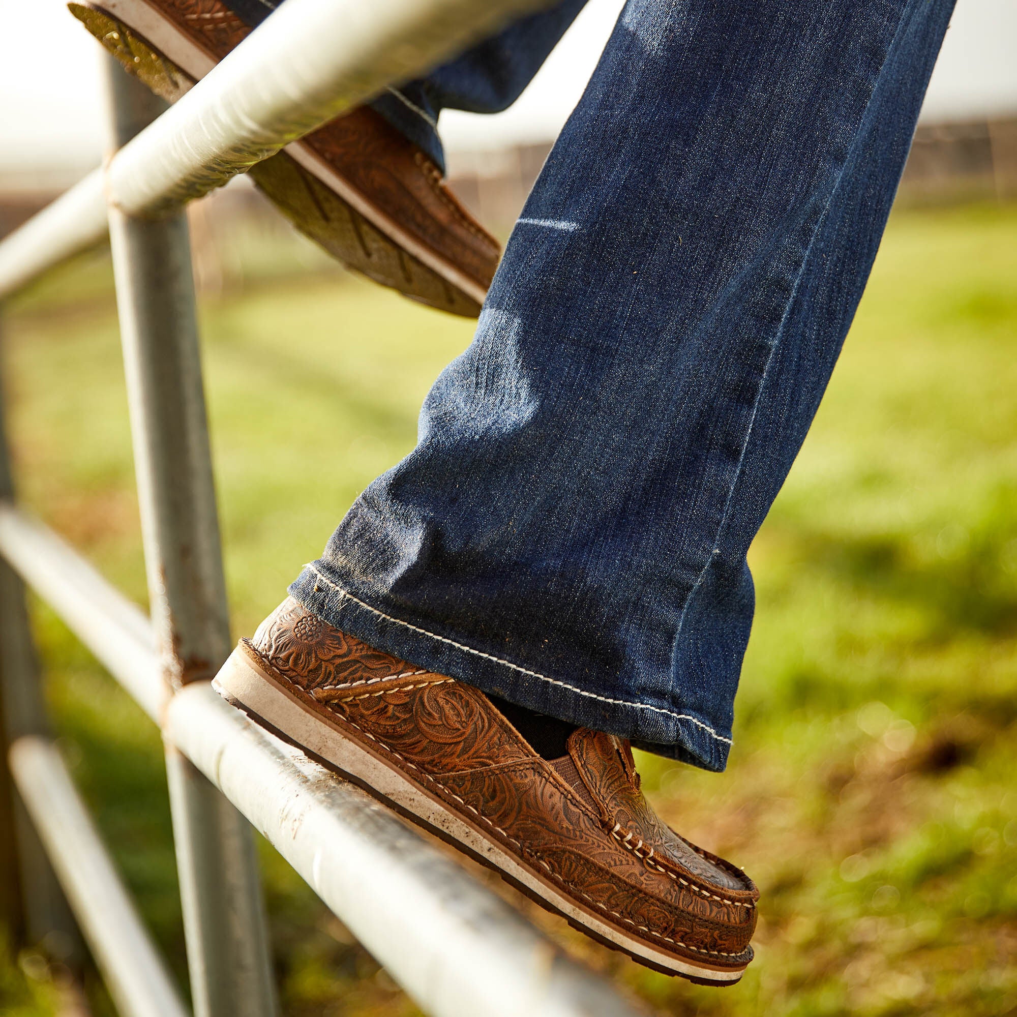 Ariat / Cruiser
