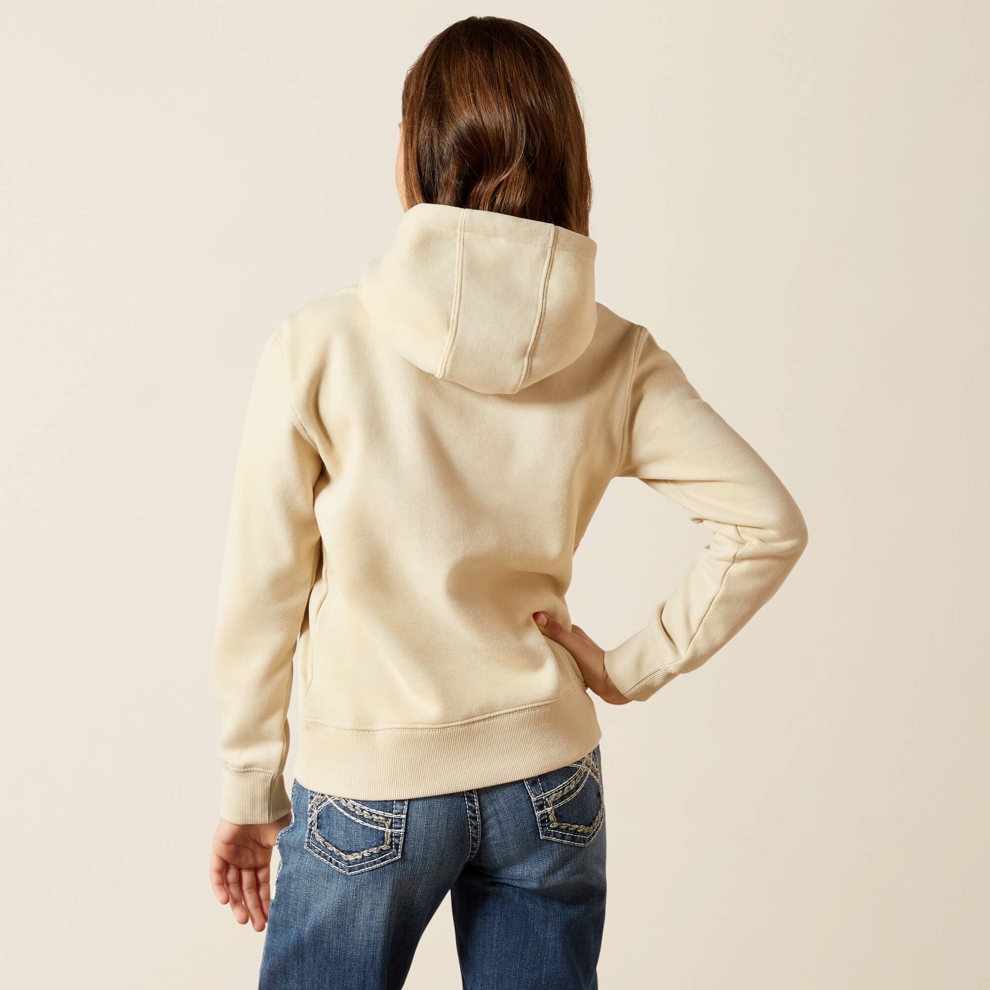 Ariat / Western Blocks Hoodie